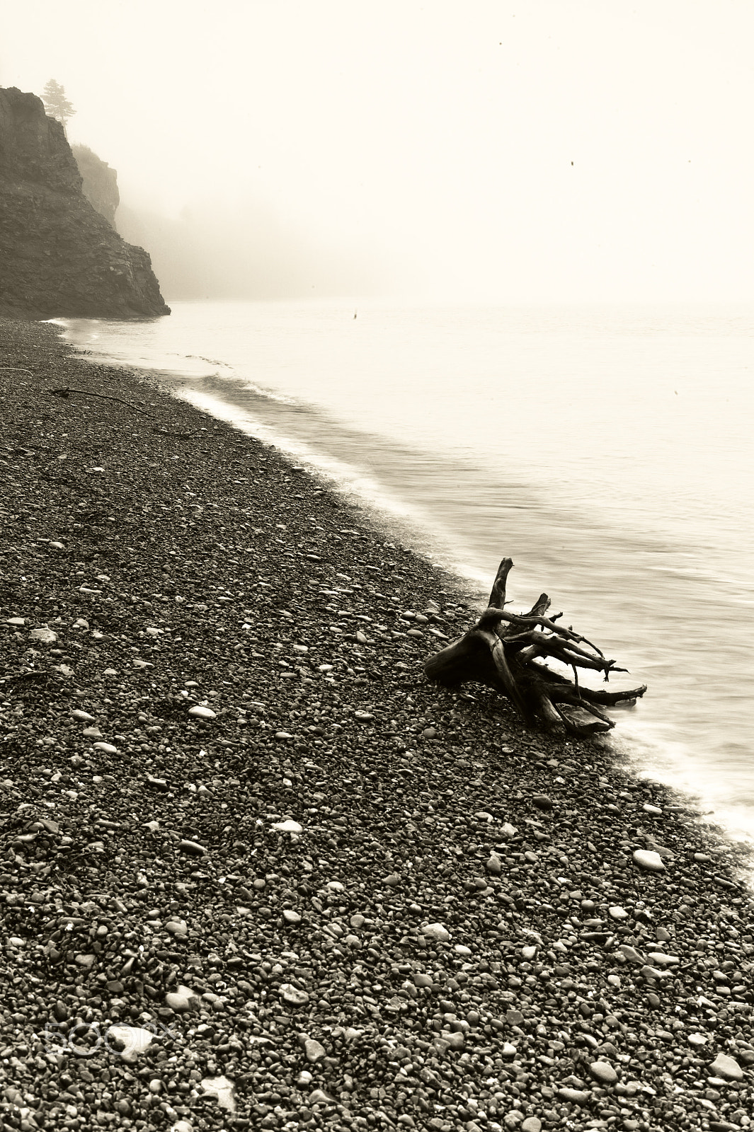 Leica Summarit-M 50mm F2.5 sample photo. Bay of fundy shore photography