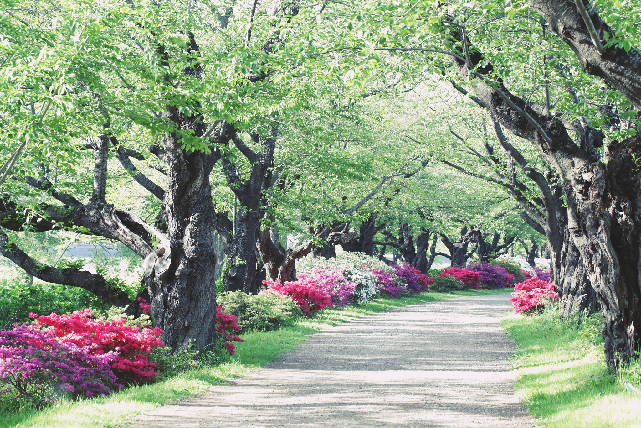 v2?sig=9f0934b1a85e171577790658e0d8f761a30d215030927c7b1f67192f58af867a