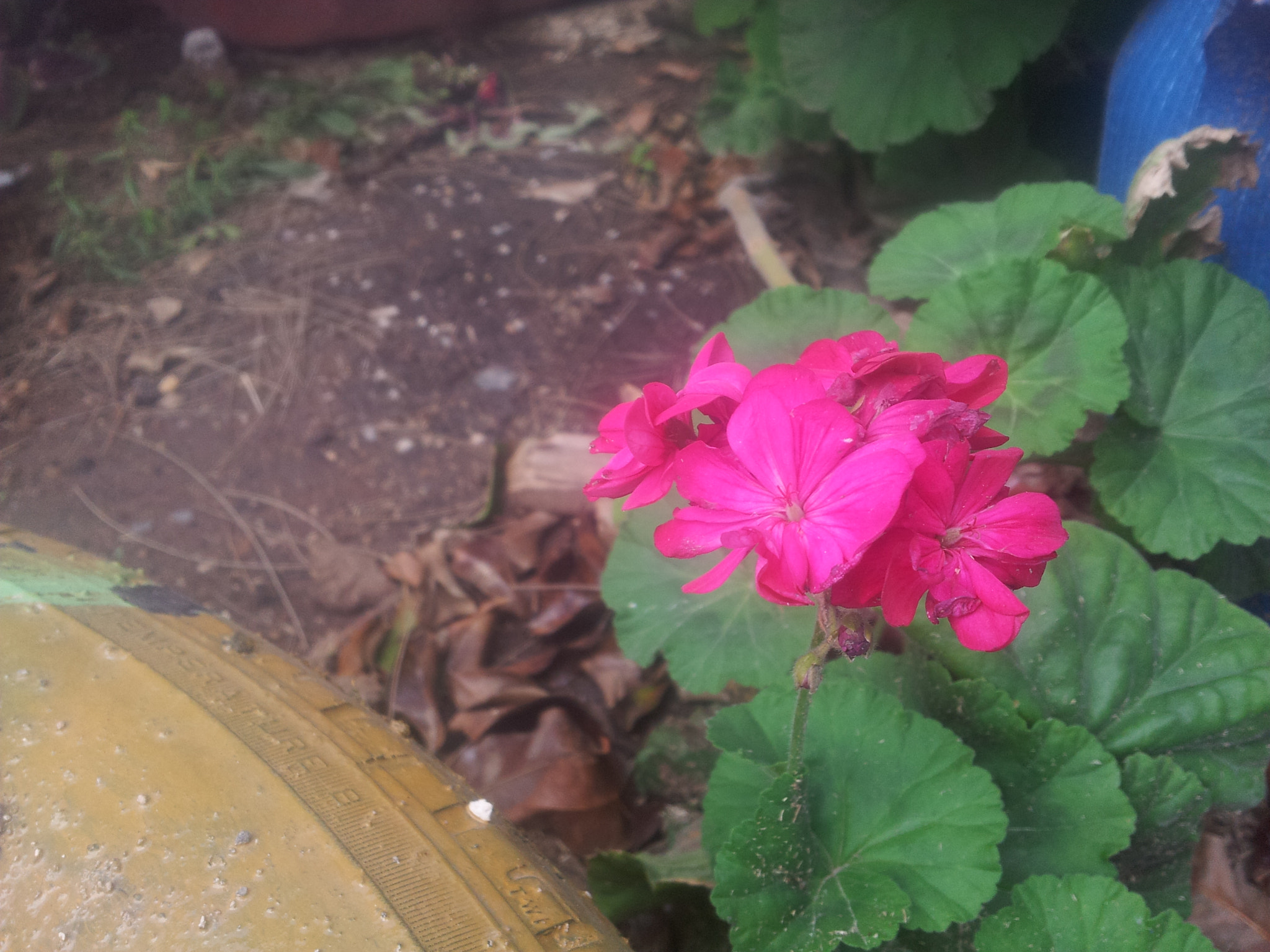 Samsung Galaxy S2 Epic sample photo