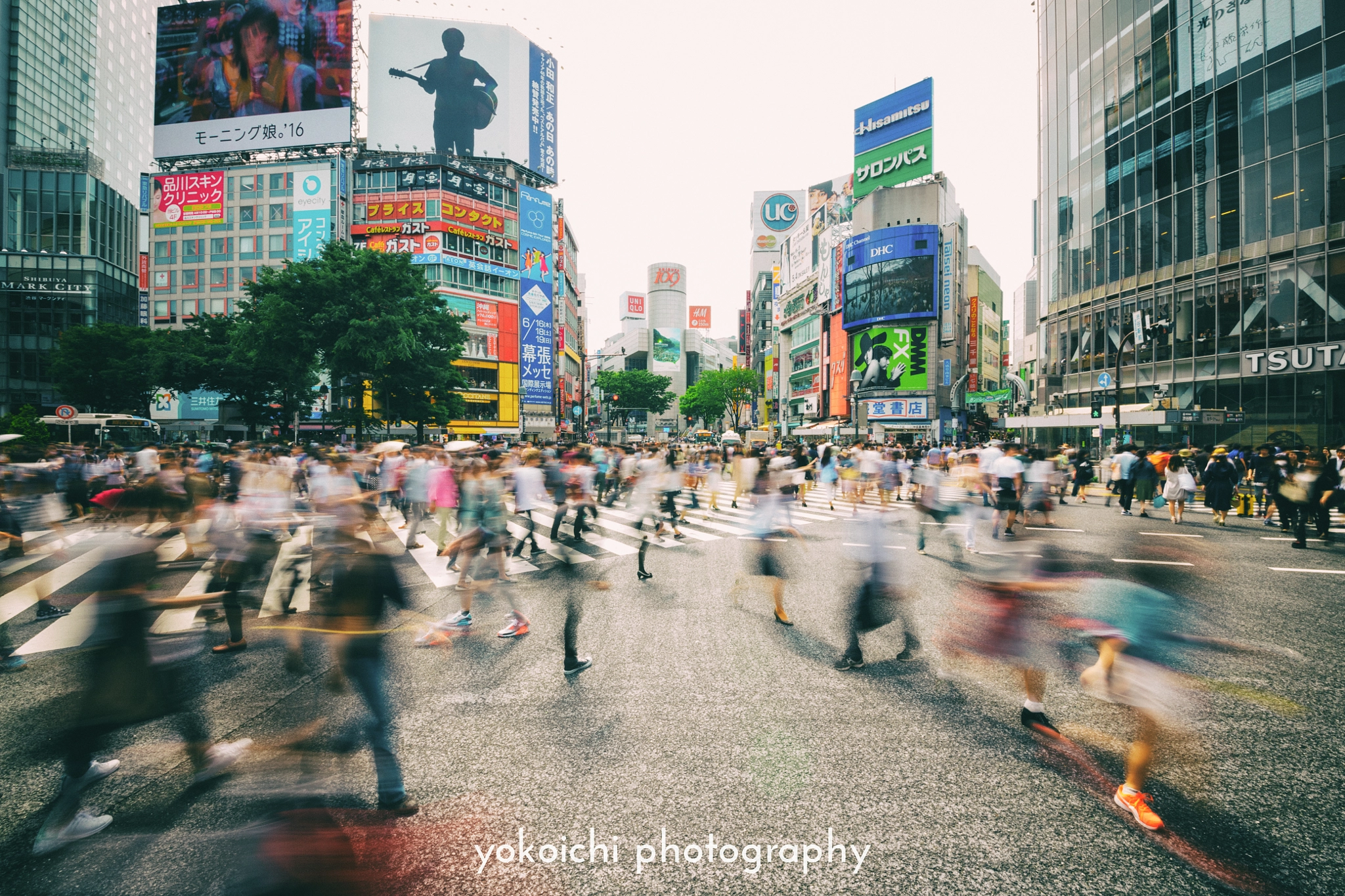Canon EOS 5DS + Sigma 12-24mm F4.5-5.6 II DG HSM sample photo. Shibuya crossing photography