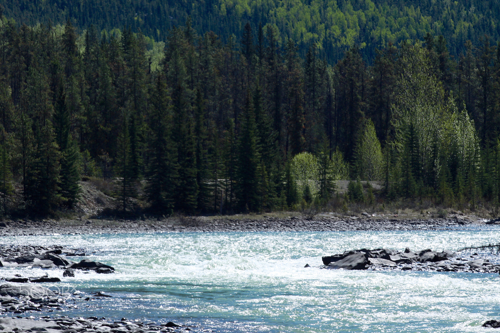 Canon EF 70-200mm F2.8L IS II USM sample photo. Colours of the heaven photography