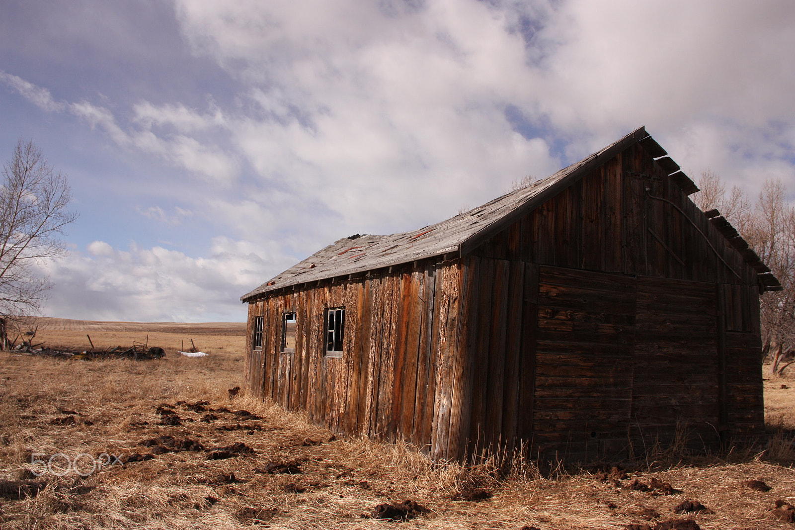 Canon EOS 450D (EOS Rebel XSi / EOS Kiss X2) sample photo. Abandoned barn photography