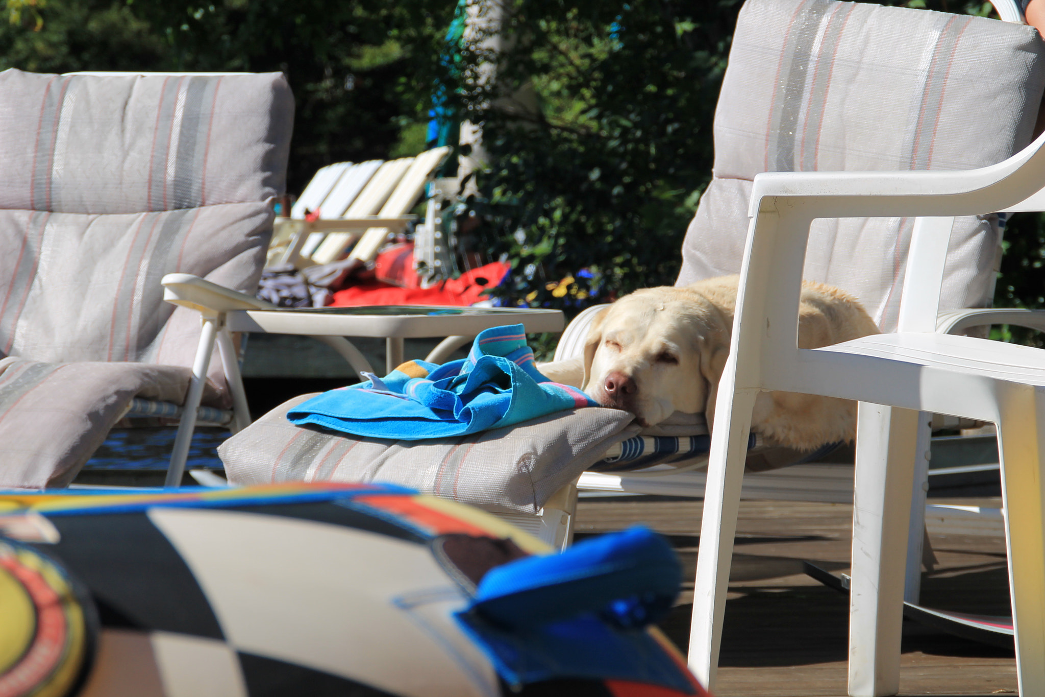 Canon EOS 1100D (EOS Rebel T3 / EOS Kiss X50) sample photo. Sleepy kassie photography