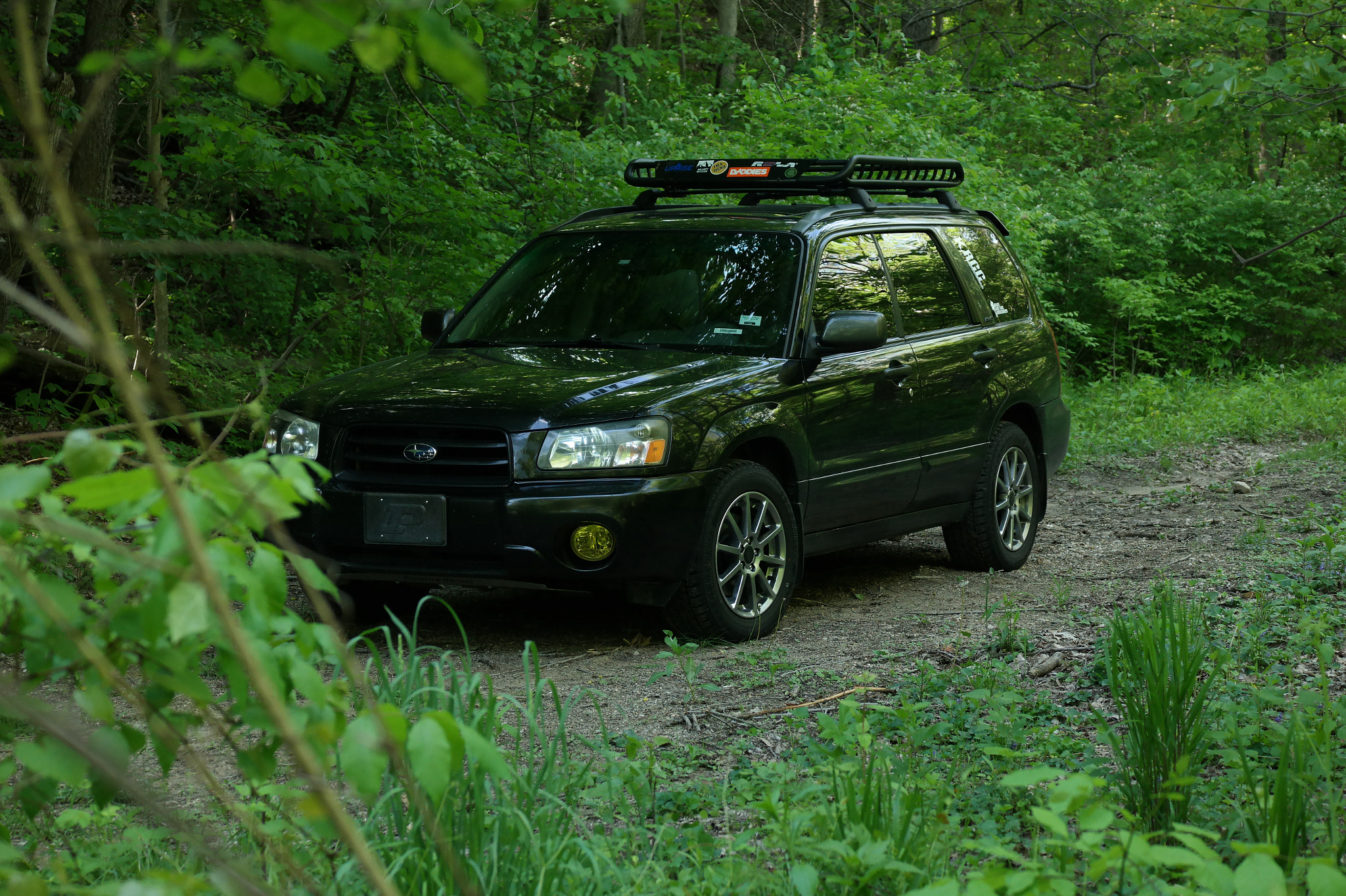 Samsung NX30 + NX 50-200mm F4-5.6 sample photo. Grimm the subaru photography