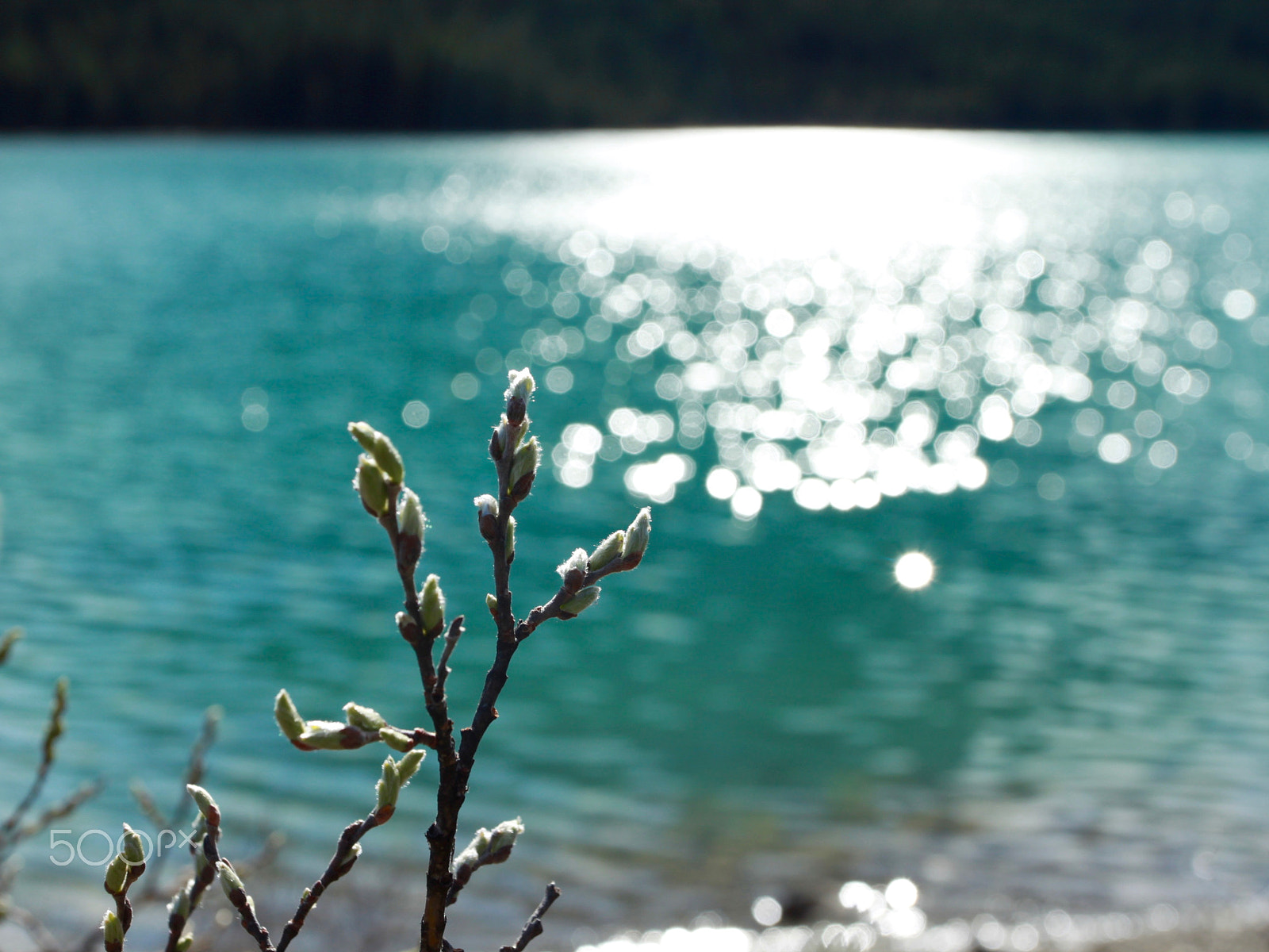 Canon EOS 500D (EOS Rebel T1i / EOS Kiss X3) + Canon EF 17-40mm F4L USM sample photo. Gem stones in banff & jasper photography