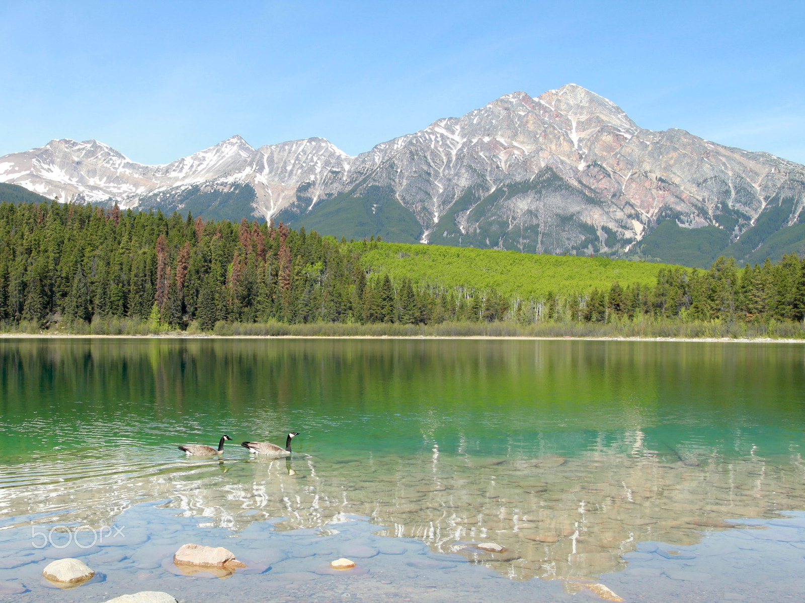 Canon EOS 500D (EOS Rebel T1i / EOS Kiss X3) + Canon EF 17-40mm F4L USM sample photo. Gem stones in banff & jasper photography