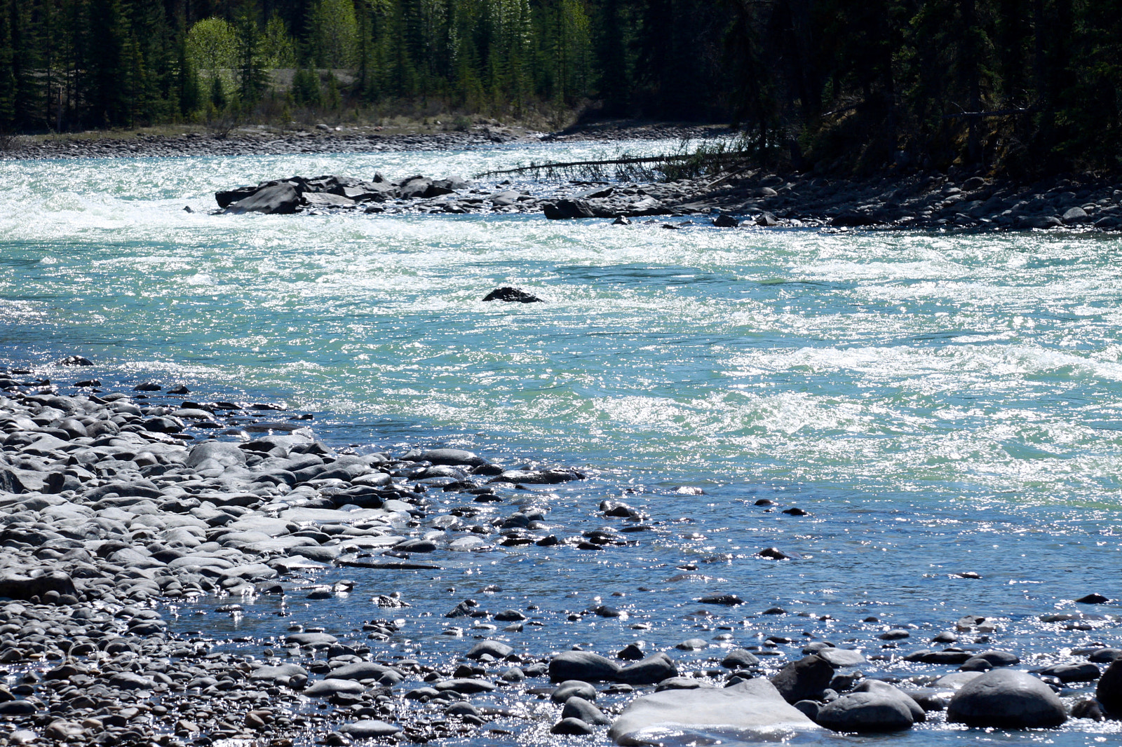 Canon EF 70-200mm F2.8L IS II USM sample photo. Gem stones in banff & jasper photography
