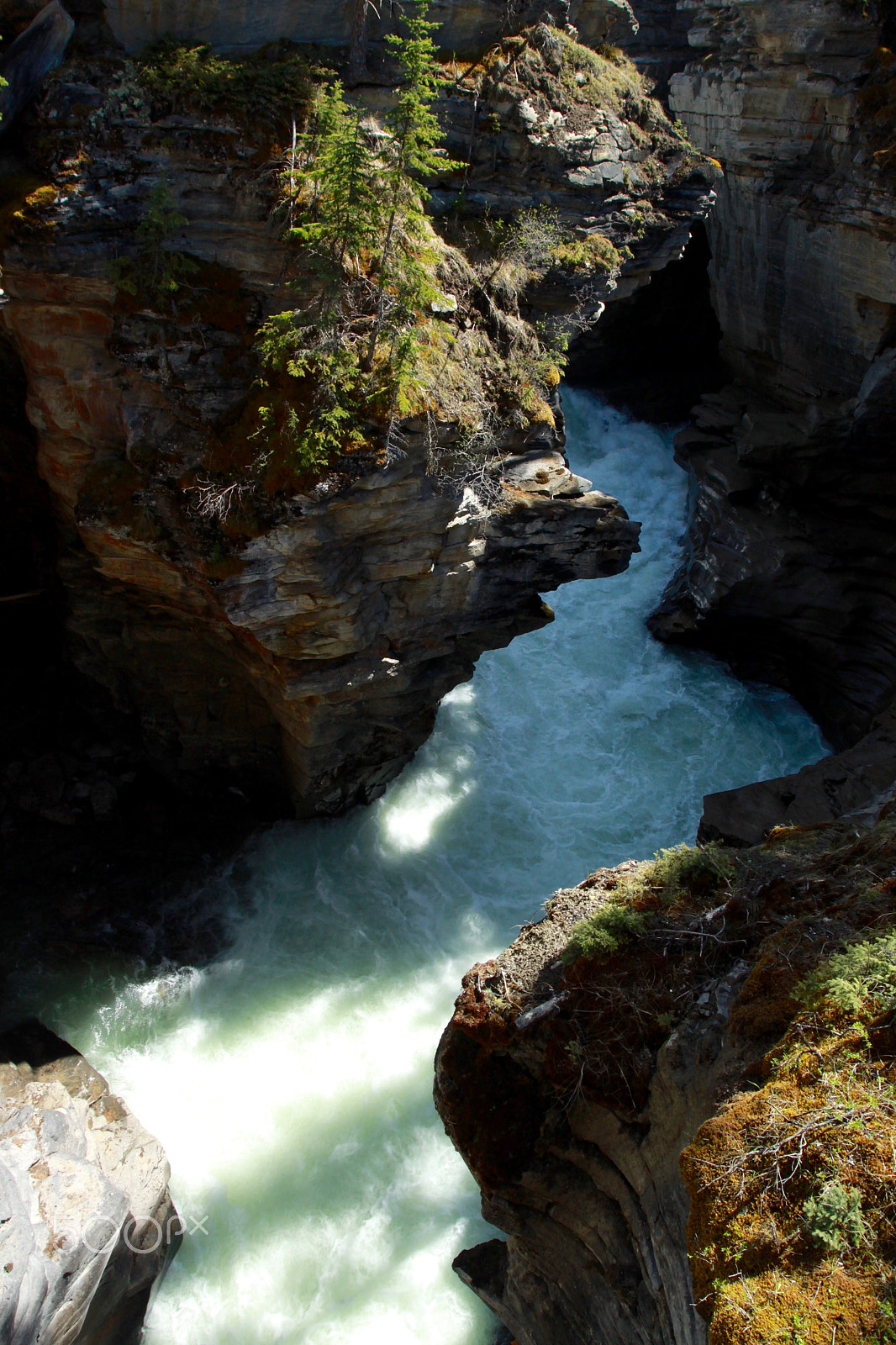 Canon EOS 500D (EOS Rebel T1i / EOS Kiss X3) + Canon EF 17-40mm F4L USM sample photo. Gem stones in banff & jasper photography