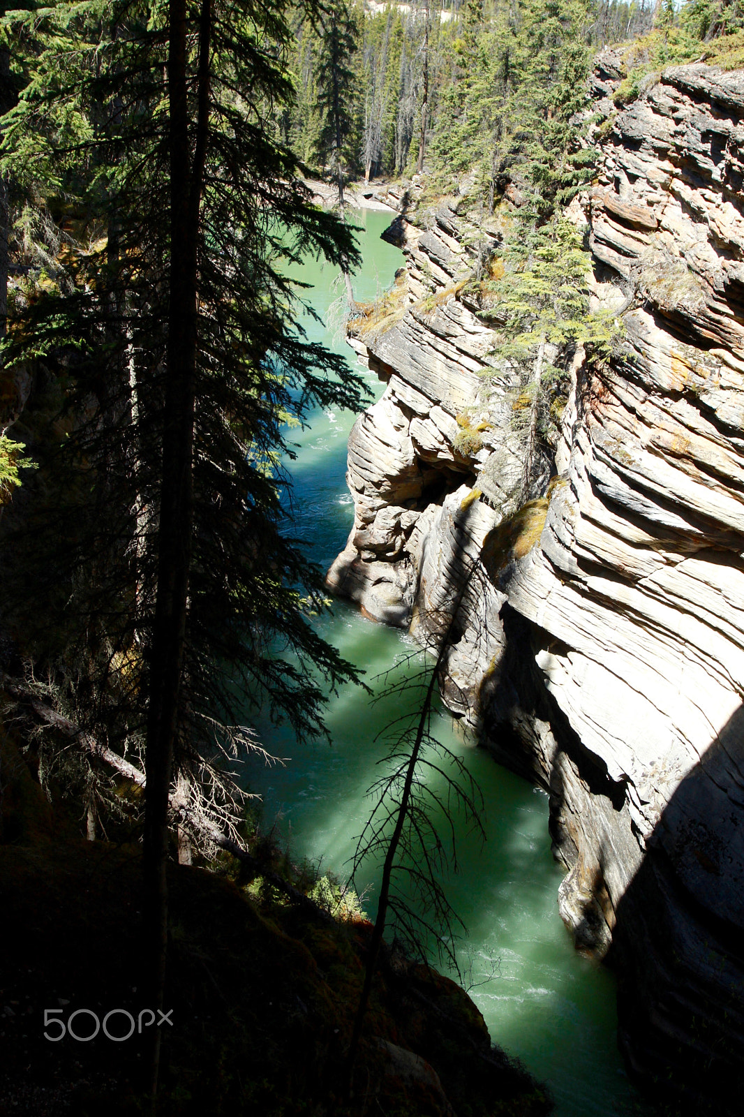 Canon EOS 500D (EOS Rebel T1i / EOS Kiss X3) + Canon EF 17-40mm F4L USM sample photo. Gem stones in banff & jasper photography