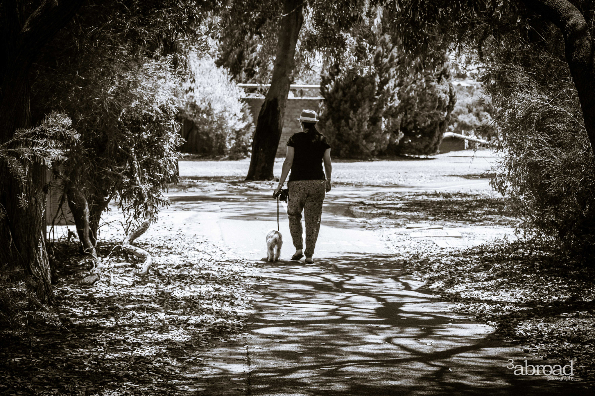 Canon EOS 760D (EOS Rebel T6s / EOS 8000D) sample photo. Places, perth, wa photography