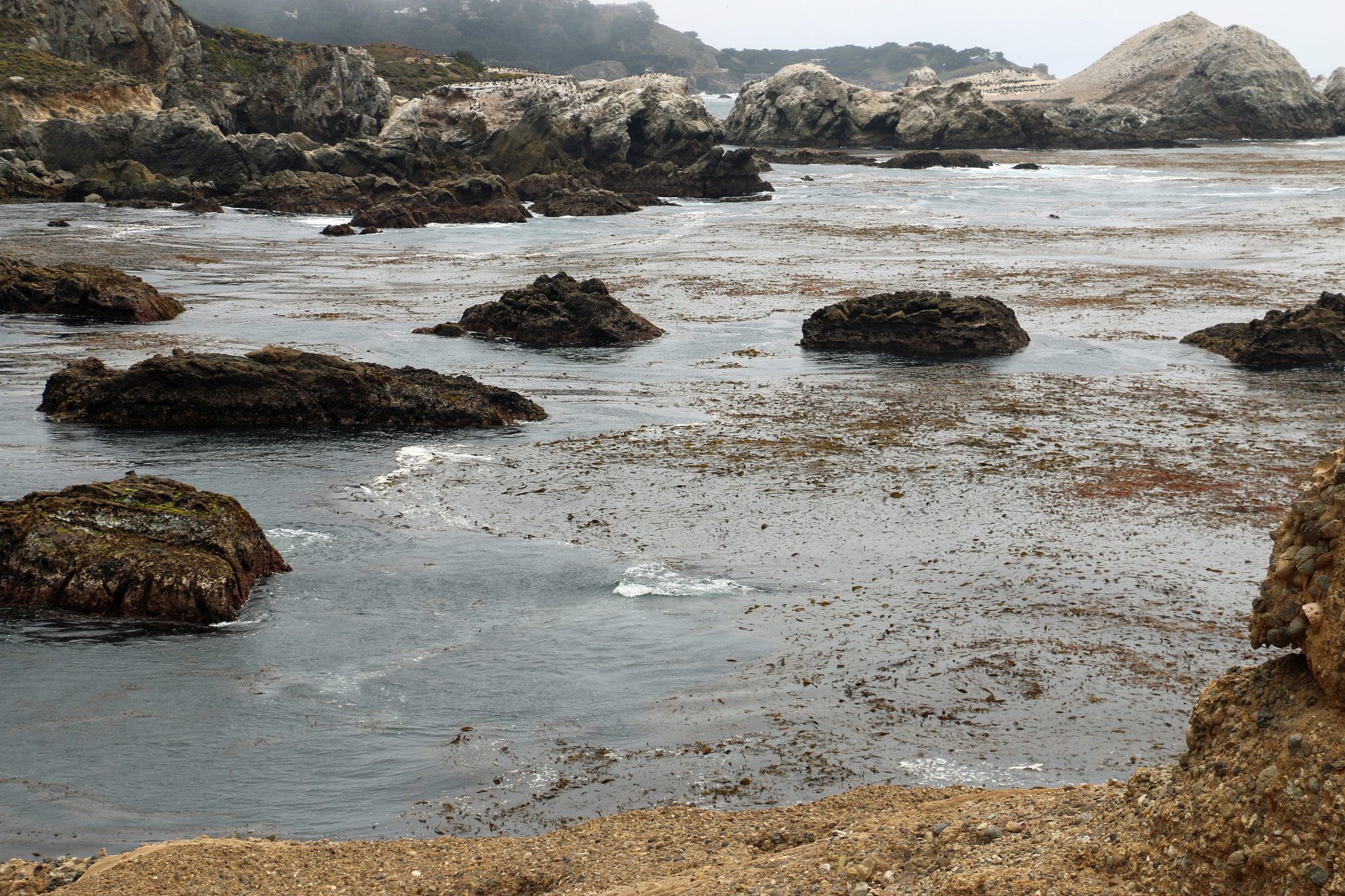 Canon EF-S 18-135mm F3.5-5.6 IS STM sample photo. Point lobos natural reserve, ca photography