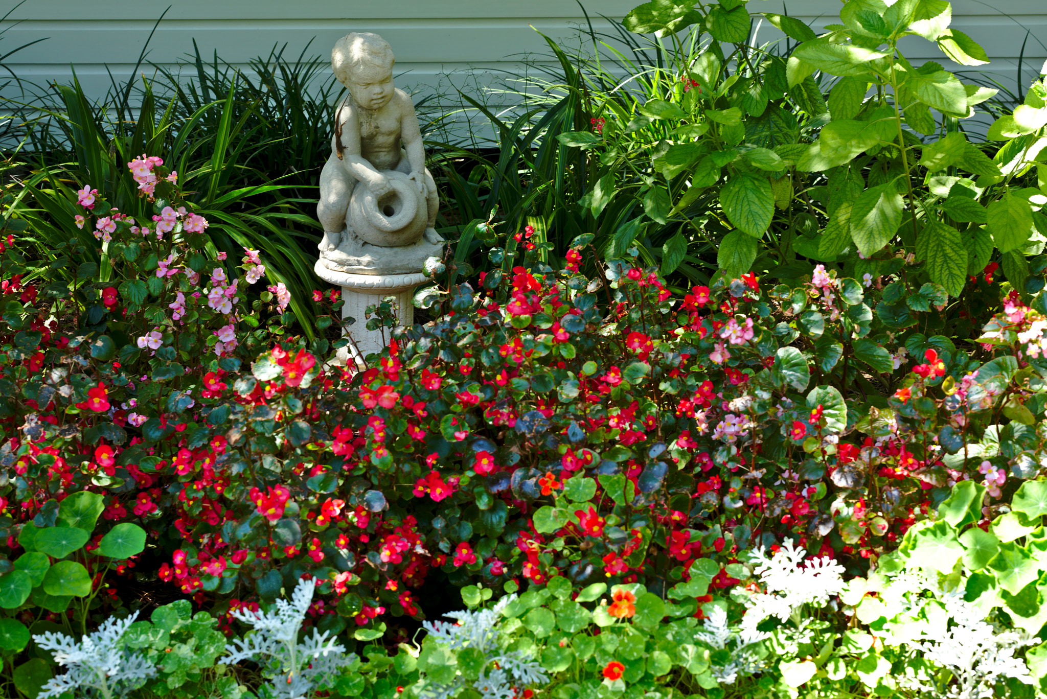 ZEISS Otus 85mm F1.4 sample photo. The butterfly garden in leu gardens, orlando photography