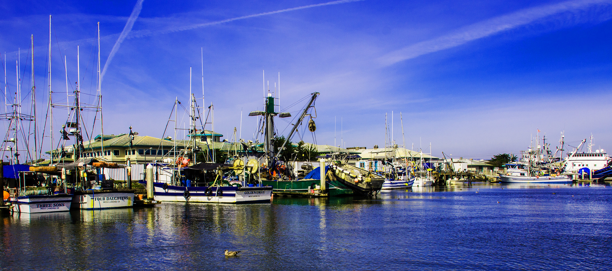 Canon EOS 70D + Canon EF-S 18-135mm F3.5-5.6 IS STM sample photo. Monterey bay, ca wharf photography