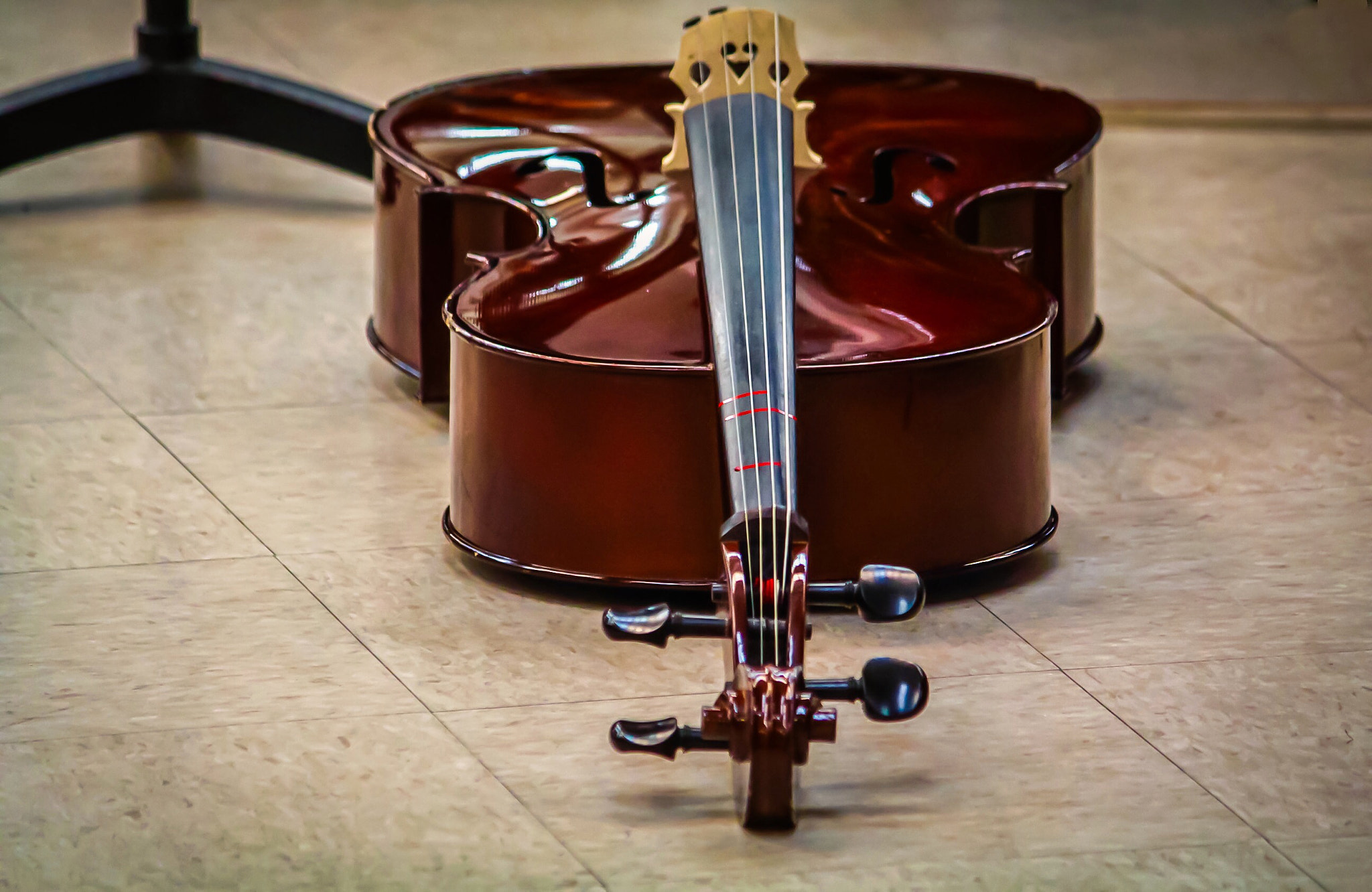 Canon EF-S 55-250mm F4-5.6 IS II sample photo. Cello photography