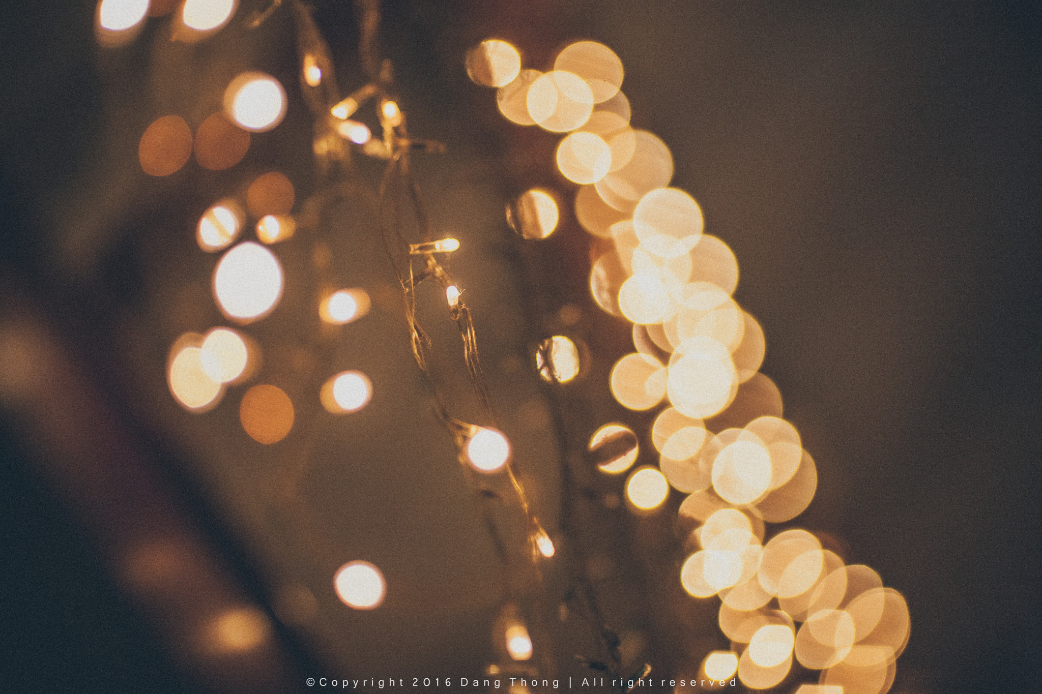 Canon EOS-1Ds Mark III + Canon EF 135mm F2L USM sample photo. Light & bokeh photography
