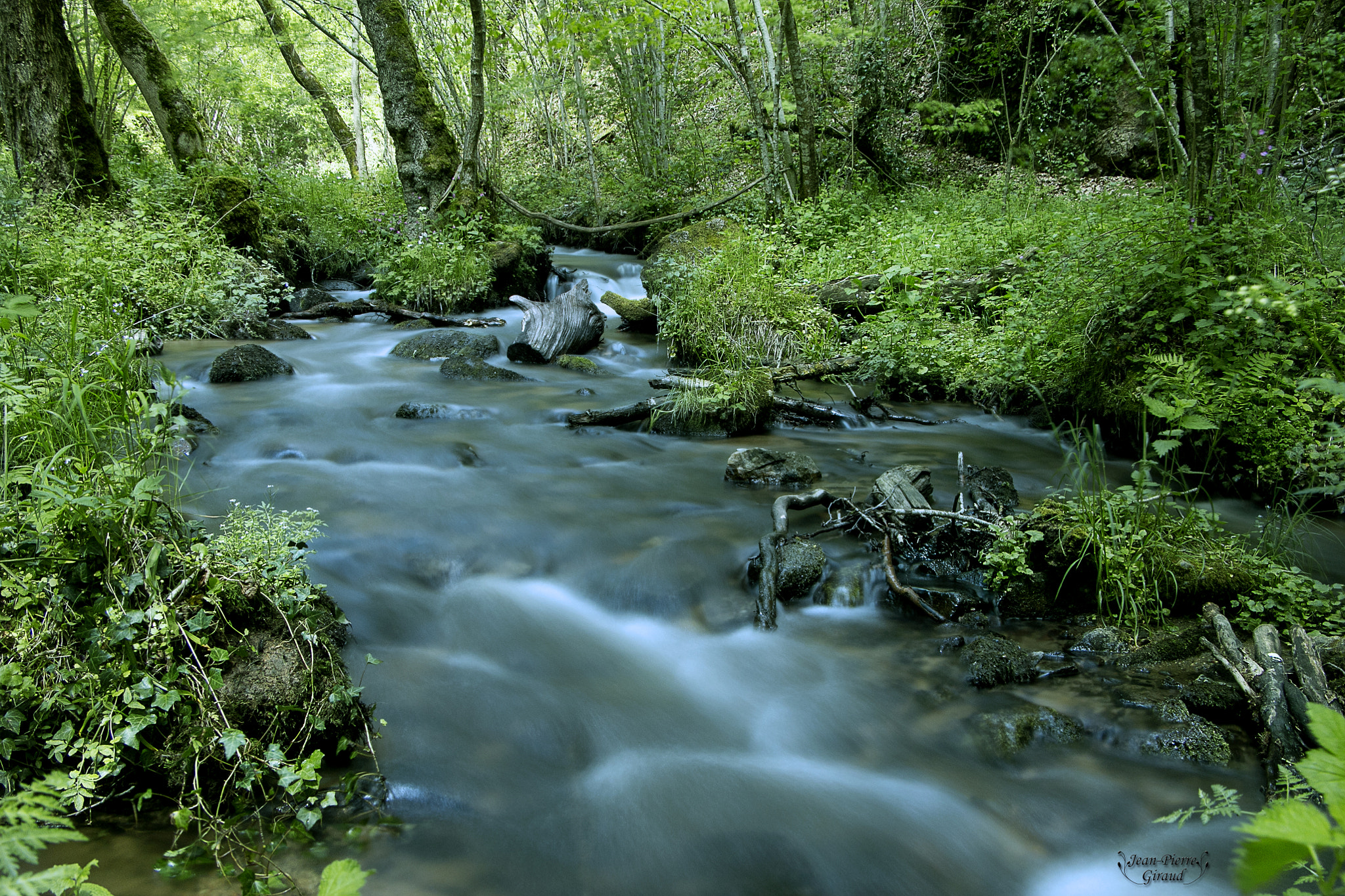 Canon EOS 70D + Canon EF-S 18-135mm F3.5-5.6 IS STM sample photo. Et au milieu coule une rivière... photography