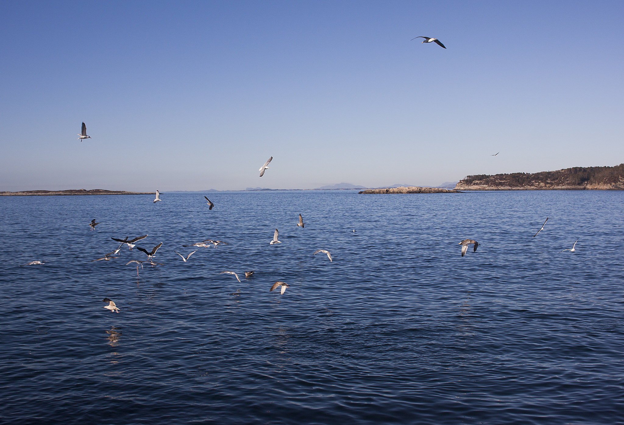 Canon EF 28mm F2.8 IS USM sample photo. Hellesøy photography
