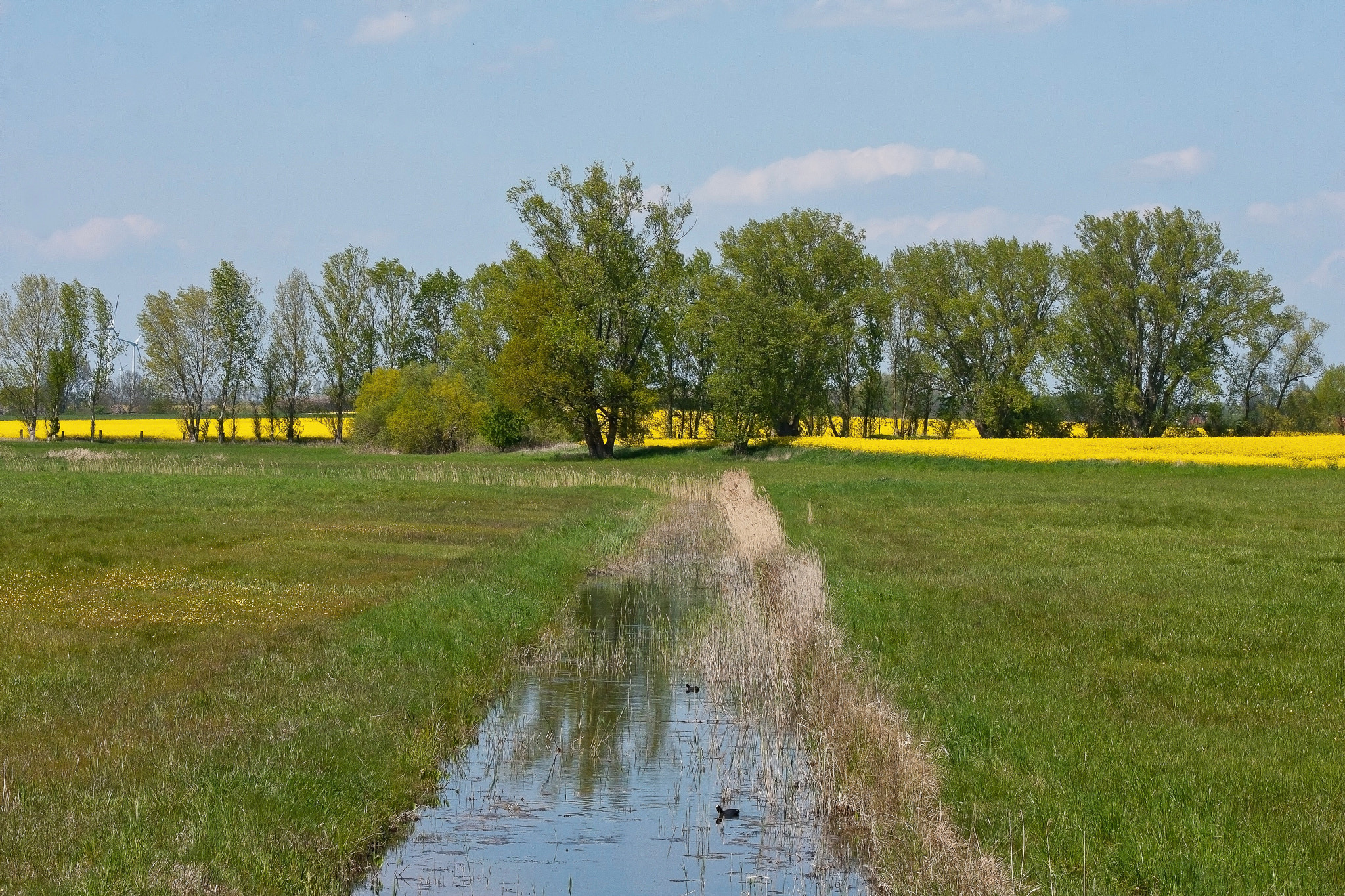 Canon EOS 40D sample photo. Landpartie (comeback of colours) photography