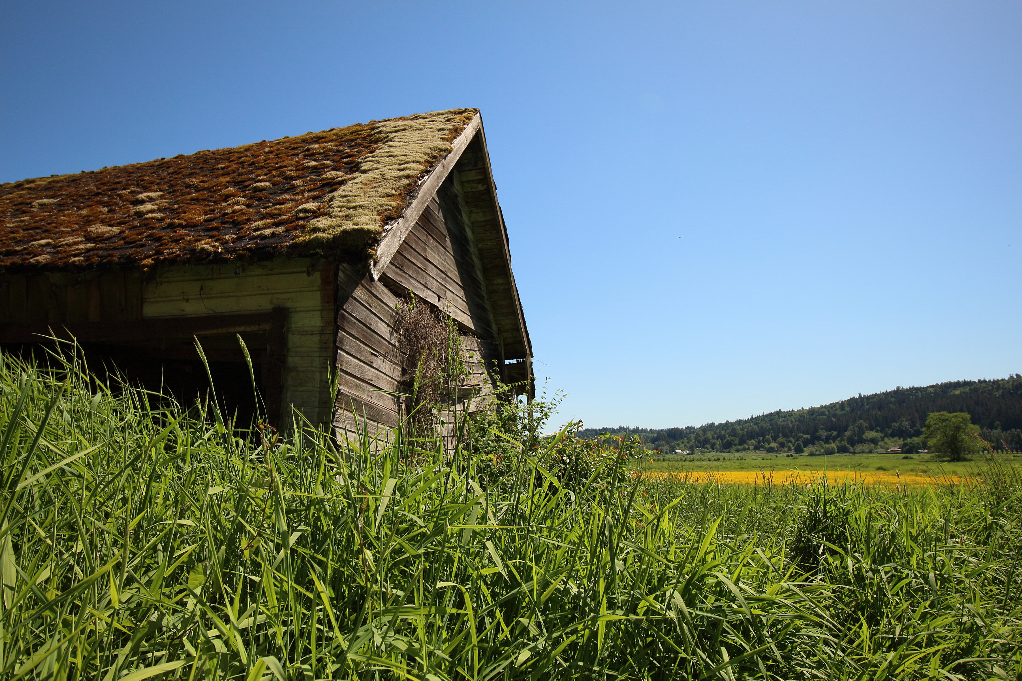 Canon EF-S 10-18mm F4.5–5.6 IS STM sample photo. The old farm 4 photography
