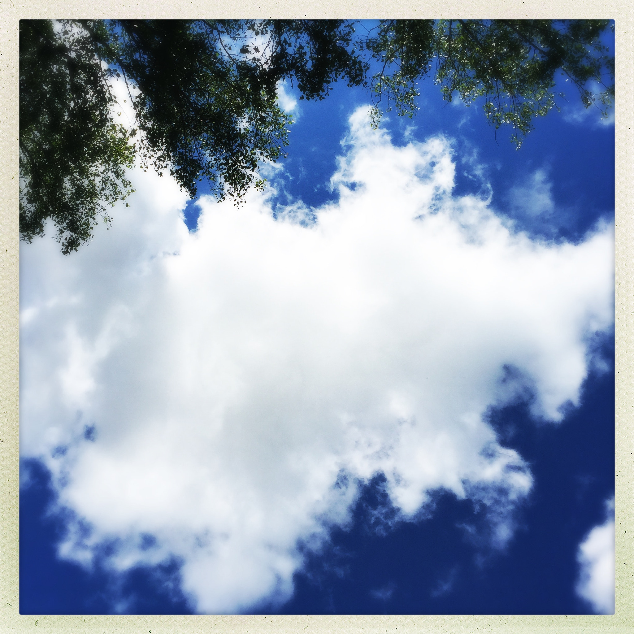 Hipstamatic 302 sample photo. Cloud photography