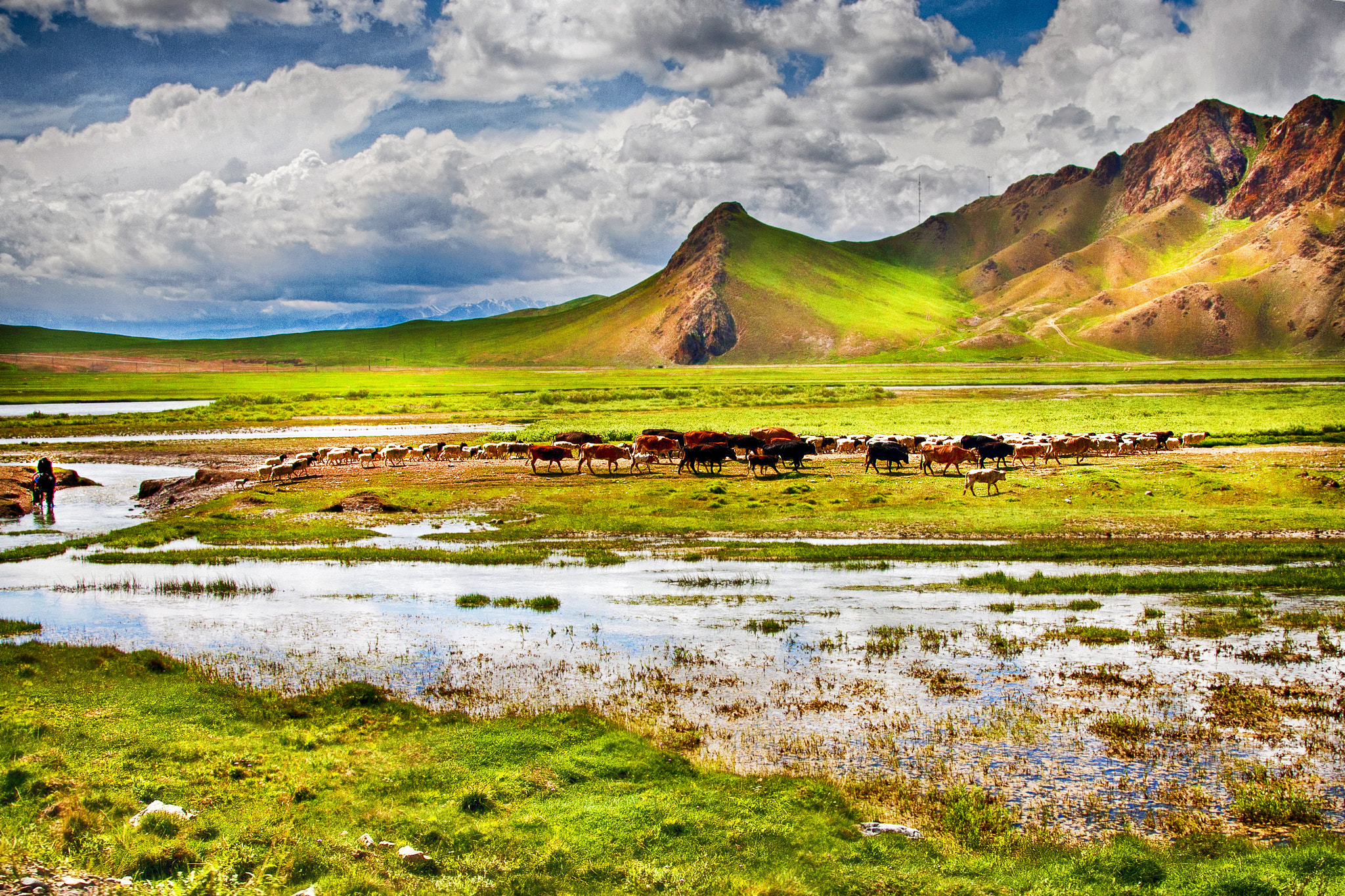 Sigma 18-250mm F3.5-6.3 DC OS HSM sample photo. North west china iii photography