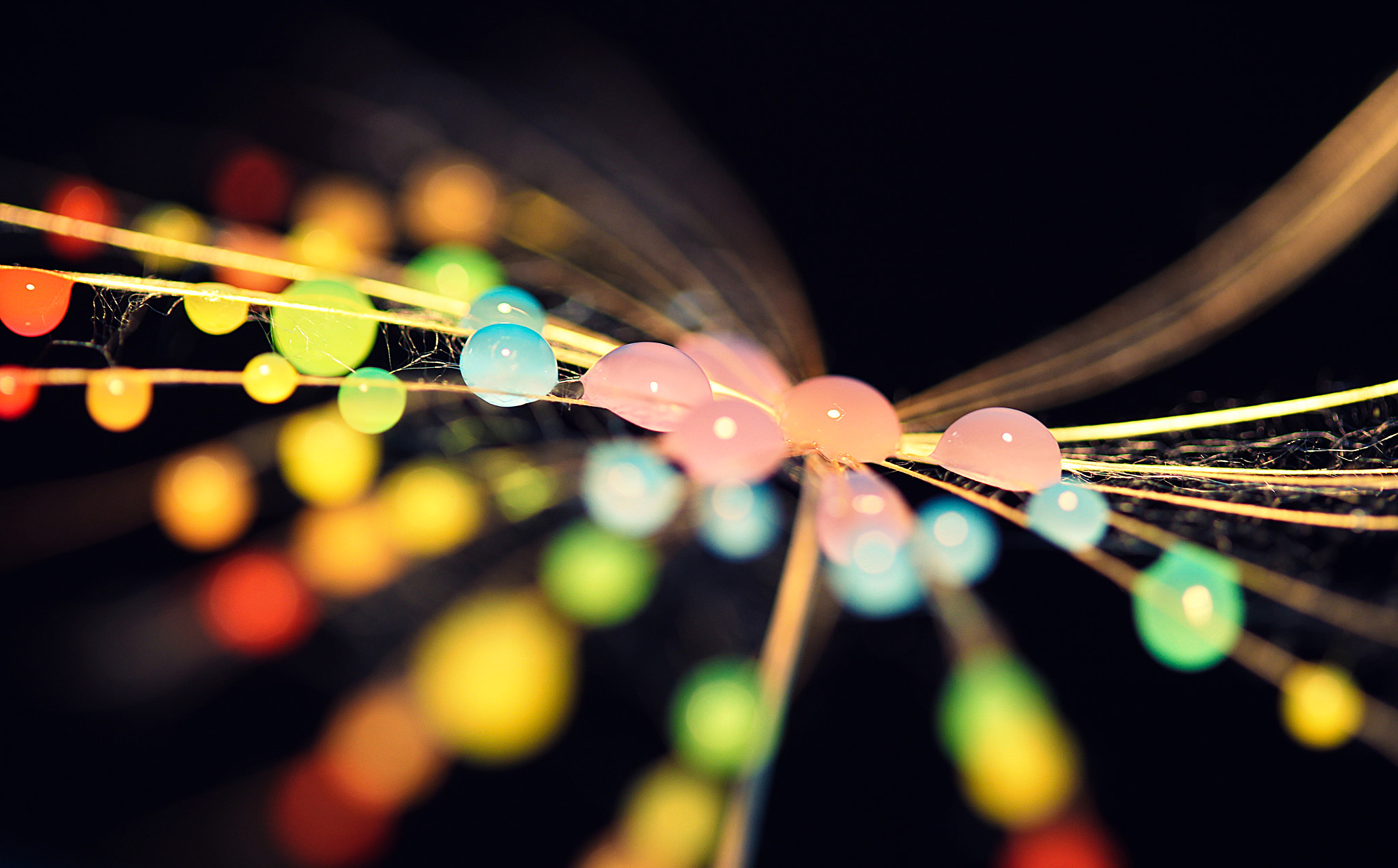 Canon EF-S 60mm F2.8 Macro USM sample photo. The rainbow effect photography