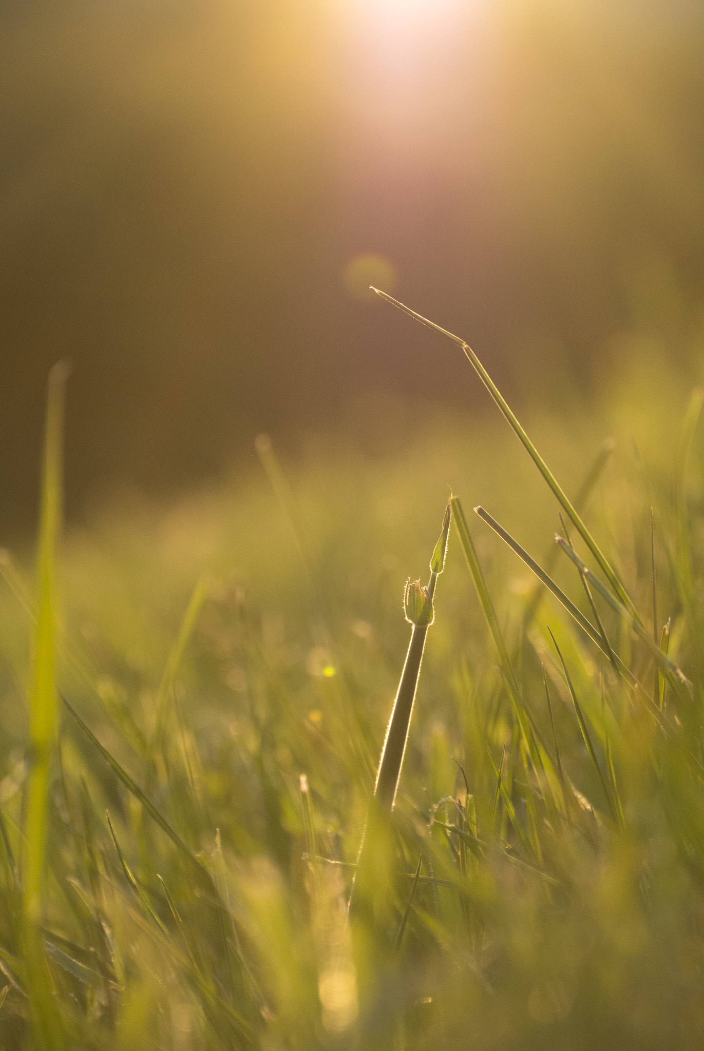 Nikon 1 Nikkor VR 30-110mm F3.8-5.6 sample photo. Bank photography
