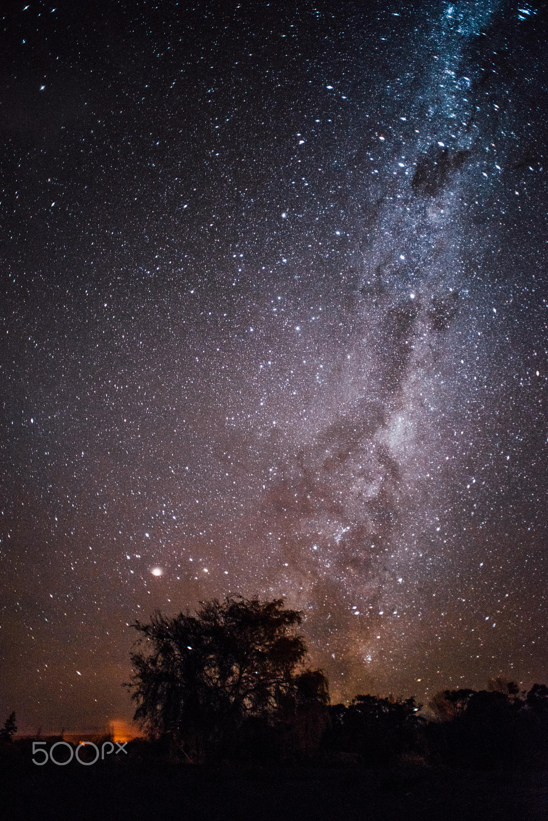 Nikon D810 + AF Nikkor 20mm f/2.8 sample photo. Lake taupo stars photography