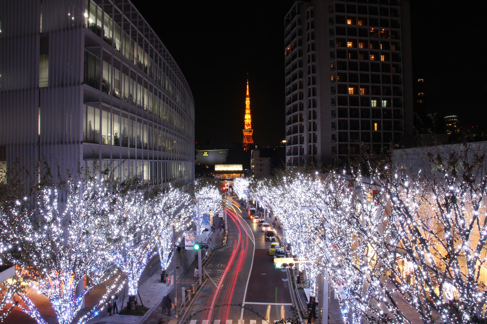 Canon EF 22-55mm f/4-5.6 USM sample photo. 2015/11 東京聖誕燈飾 photography