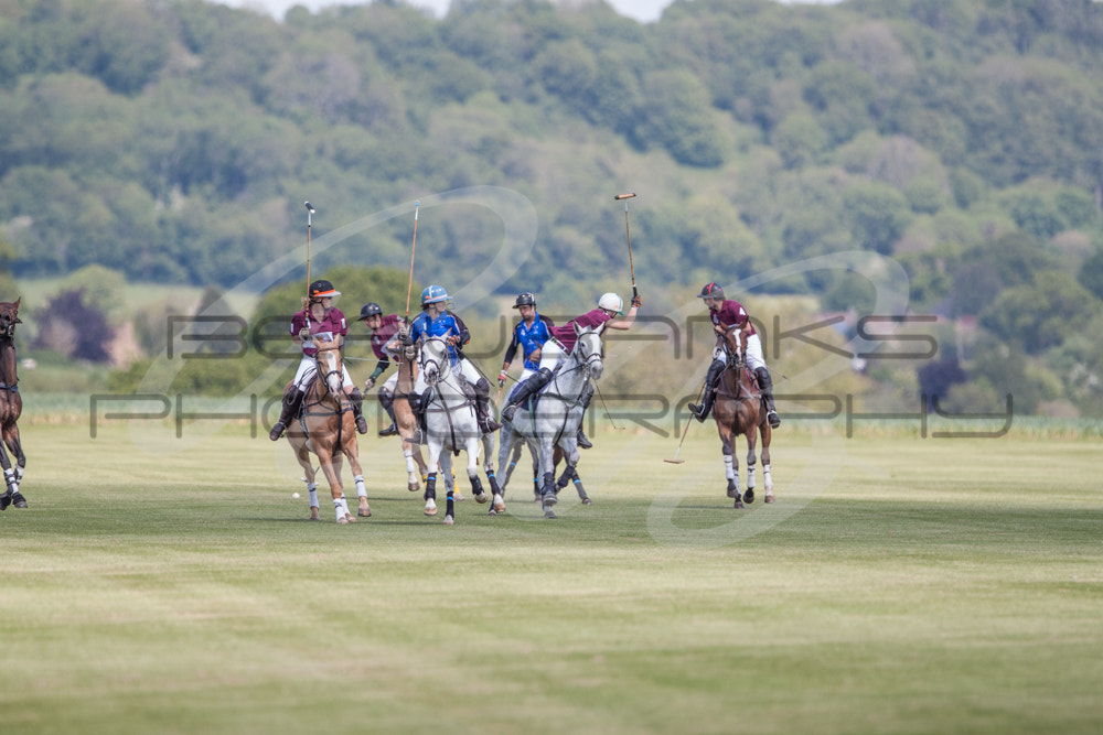 Canon EOS 500D (EOS Rebel T1i / EOS Kiss X3) + Canon EF 300mm F2.8L IS USM sample photo. Polo photography