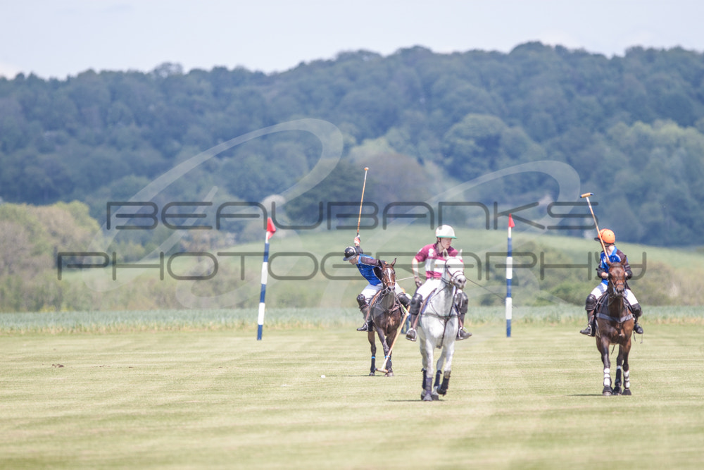 Canon EOS 500D (EOS Rebel T1i / EOS Kiss X3) + Canon EF 300mm F2.8L IS USM sample photo. Polo photography