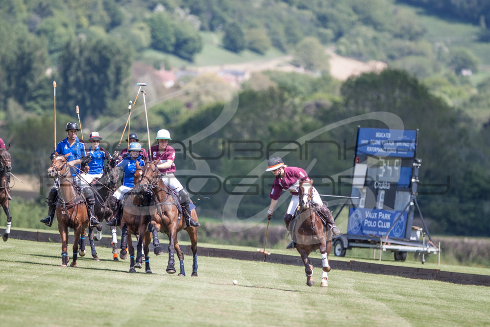 Canon EF 300mm F2.8L IS USM sample photo. Polo photography