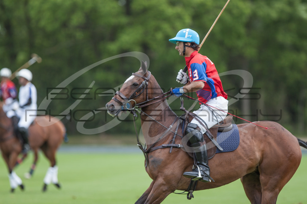 Canon EF 300mm F2.8L IS USM sample photo. Polo photography
