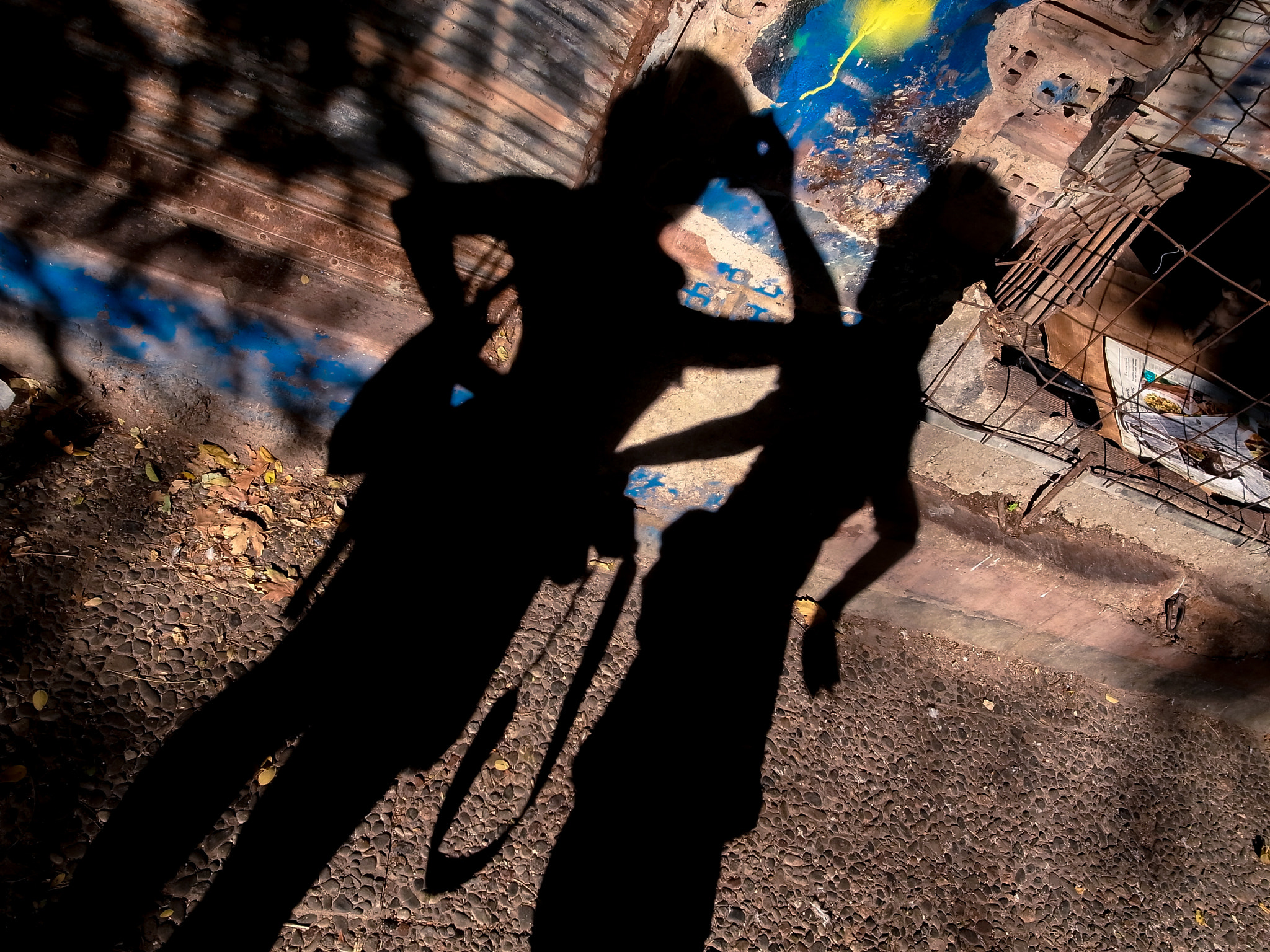 RICOH GR LENS sample photo. Be my shadow photography