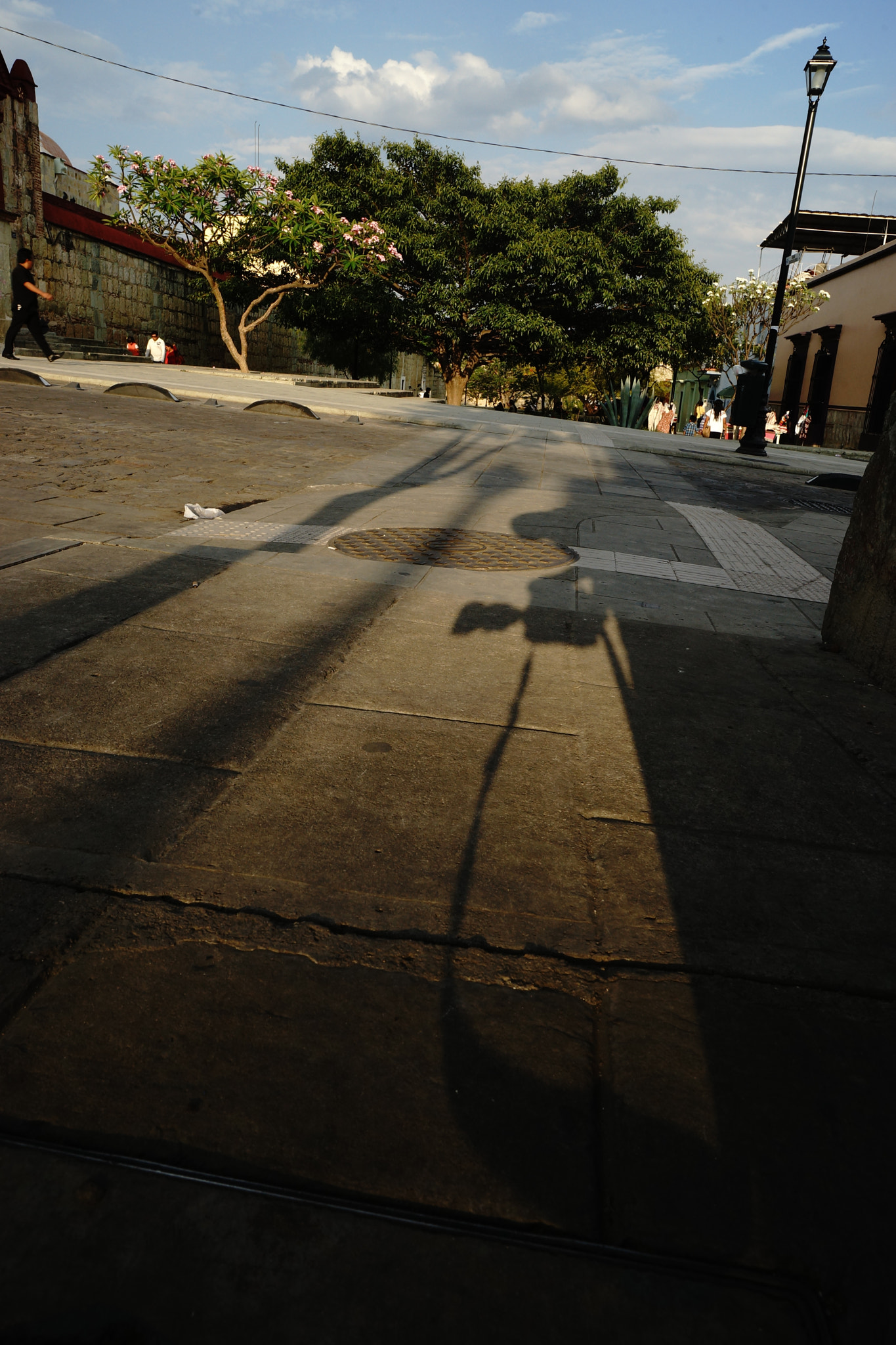 Sony SLT-A99V sample photo. Luz callejera photography