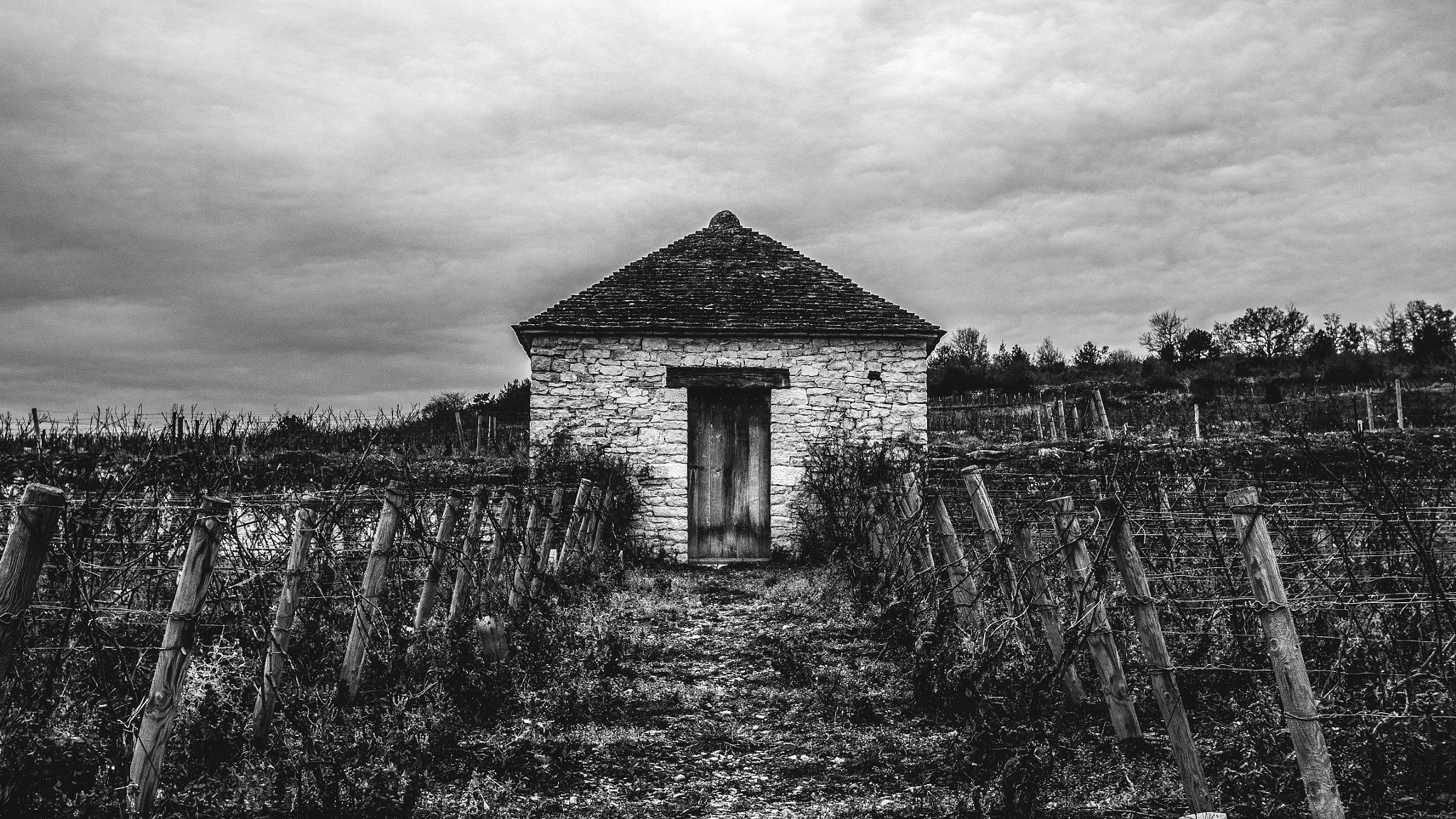 Canon EF 16-35mm F2.8L II USM sample photo. Le montrachet photography