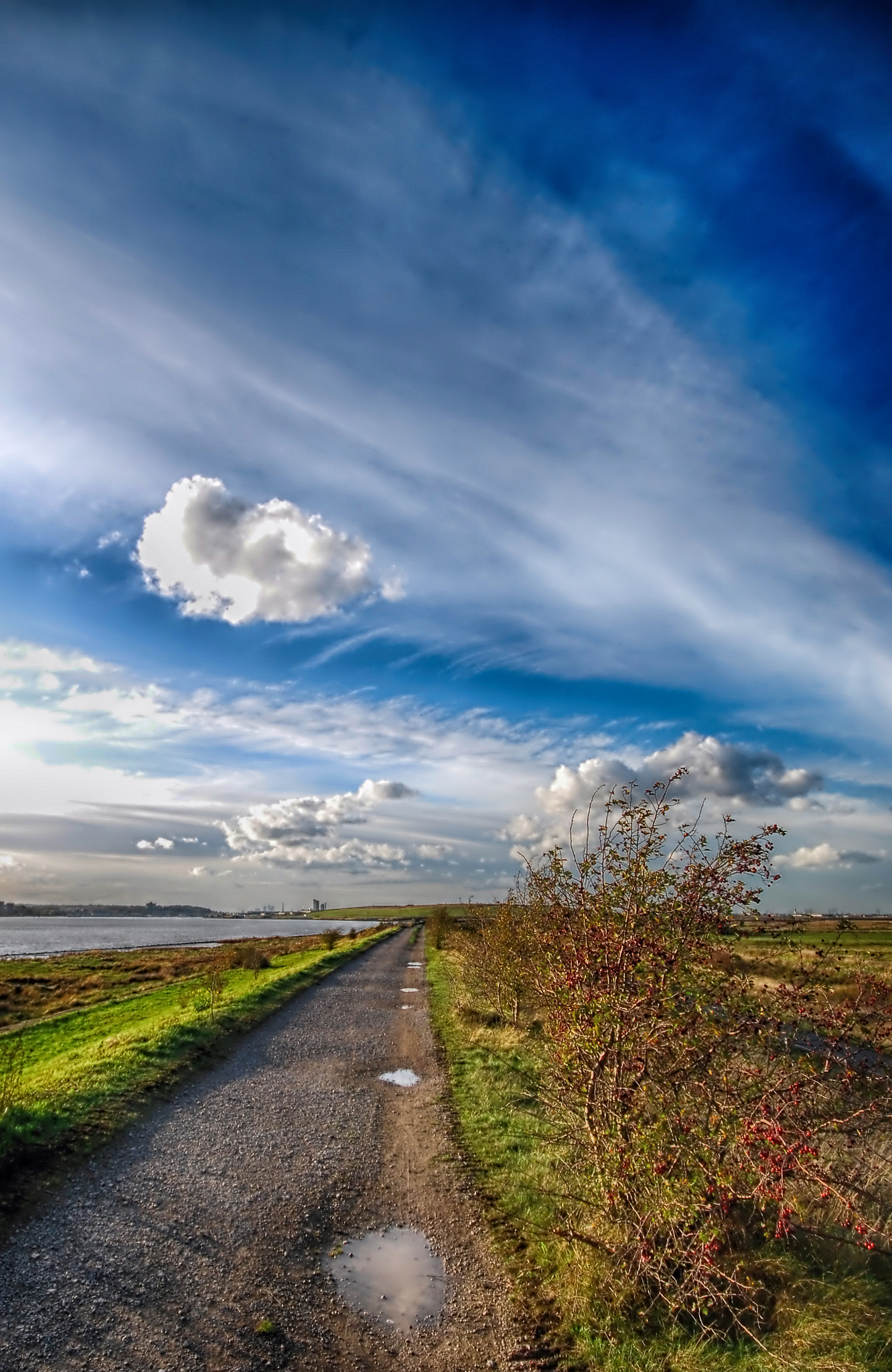 Sigma 10-20mm F4-5.6 EX DC HSM sample photo. Thames path photography
