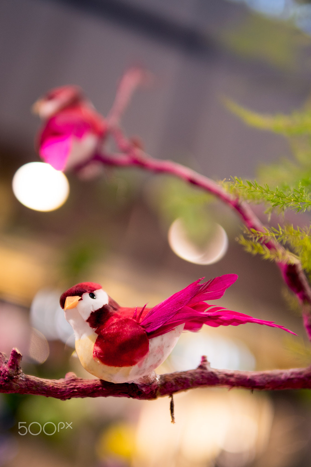 Panasonic Lumix DMC-GX8 + Panasonic Leica DG Summilux 25mm F1.4 II ASPH sample photo. Birding? photography