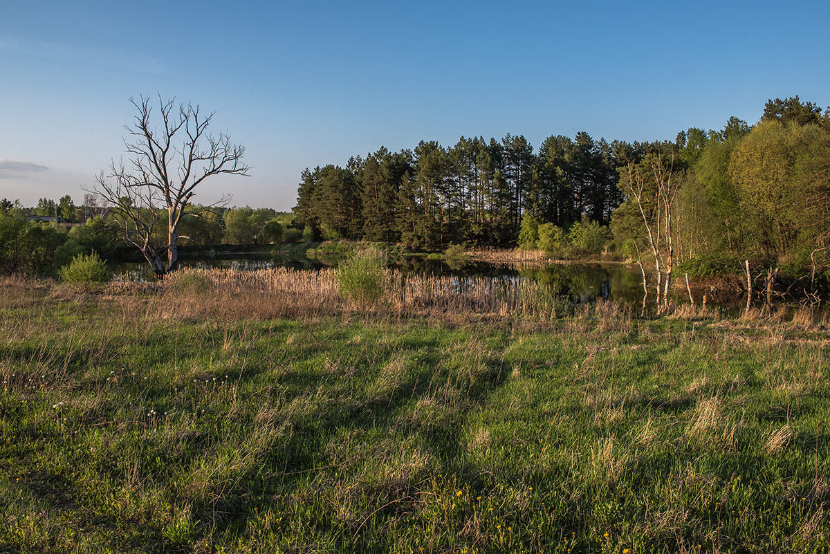 Nikon AF-S Nikkor 28-70mm F2.8 ED-IF sample photo. Пейзаж photography