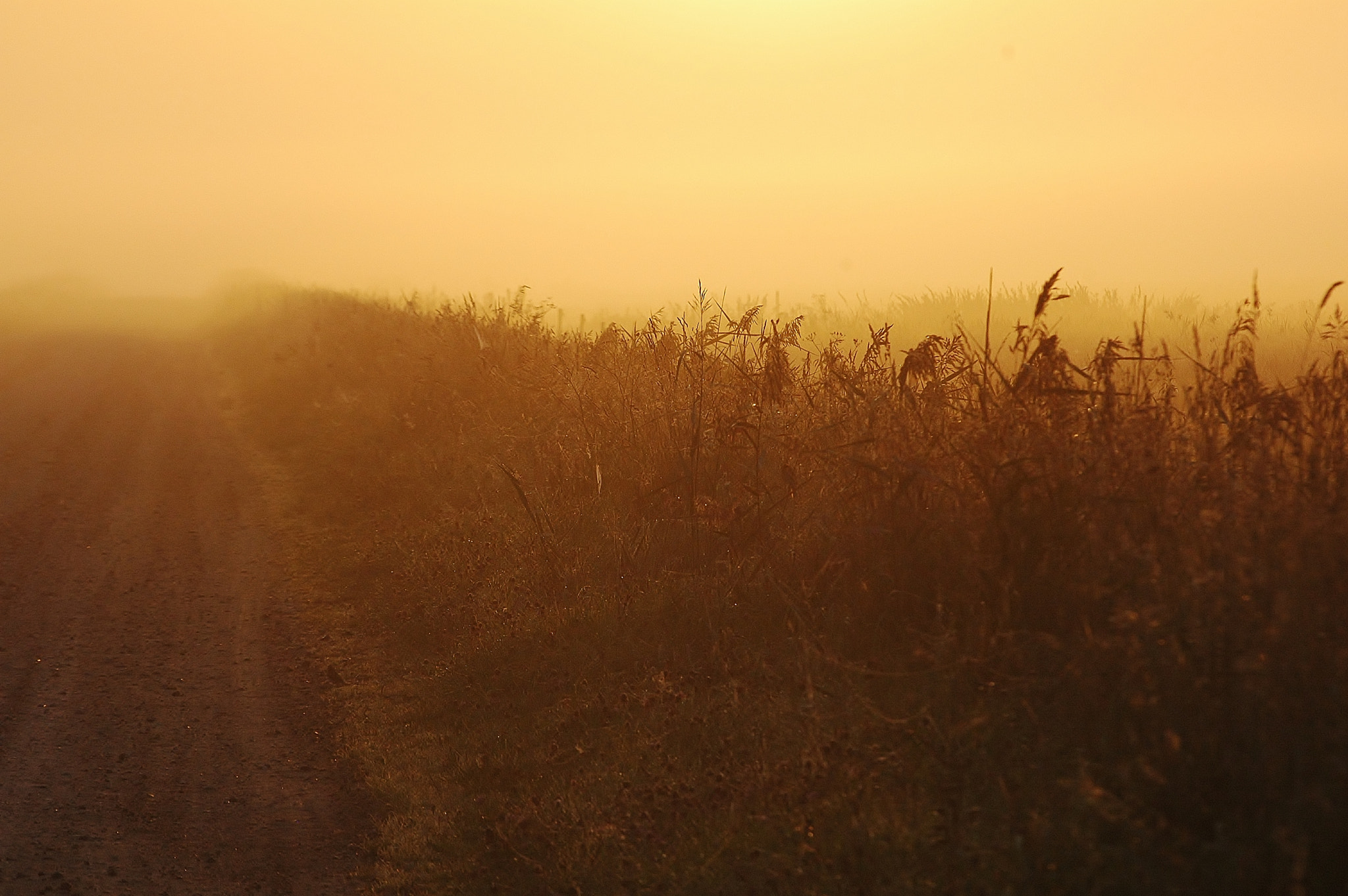 AF Zoom-Nikkor 80-200mm f/2.8 ED sample photo. The road ahead is unknown... photography