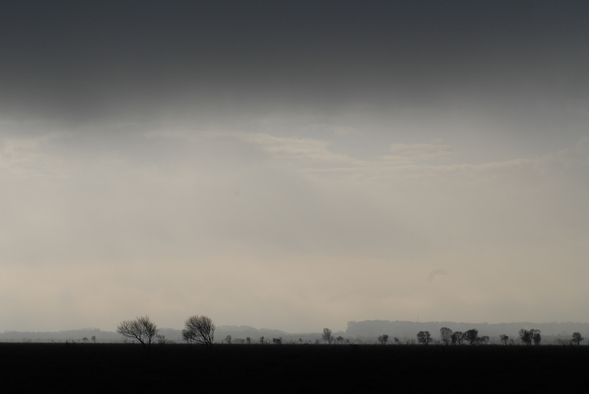 AF Zoom-Nikkor 80-200mm f/2.8 ED sample photo. In the darkness there is light photography
