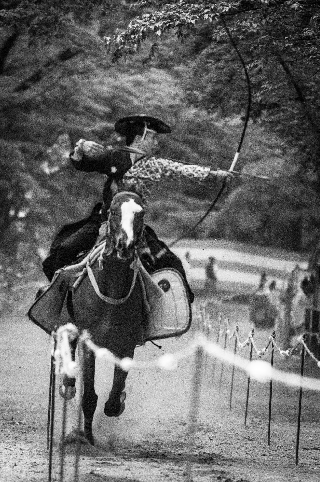 Sigma 50-500mm F4.5-6.3 DG OS HSM sample photo. Shooting photography