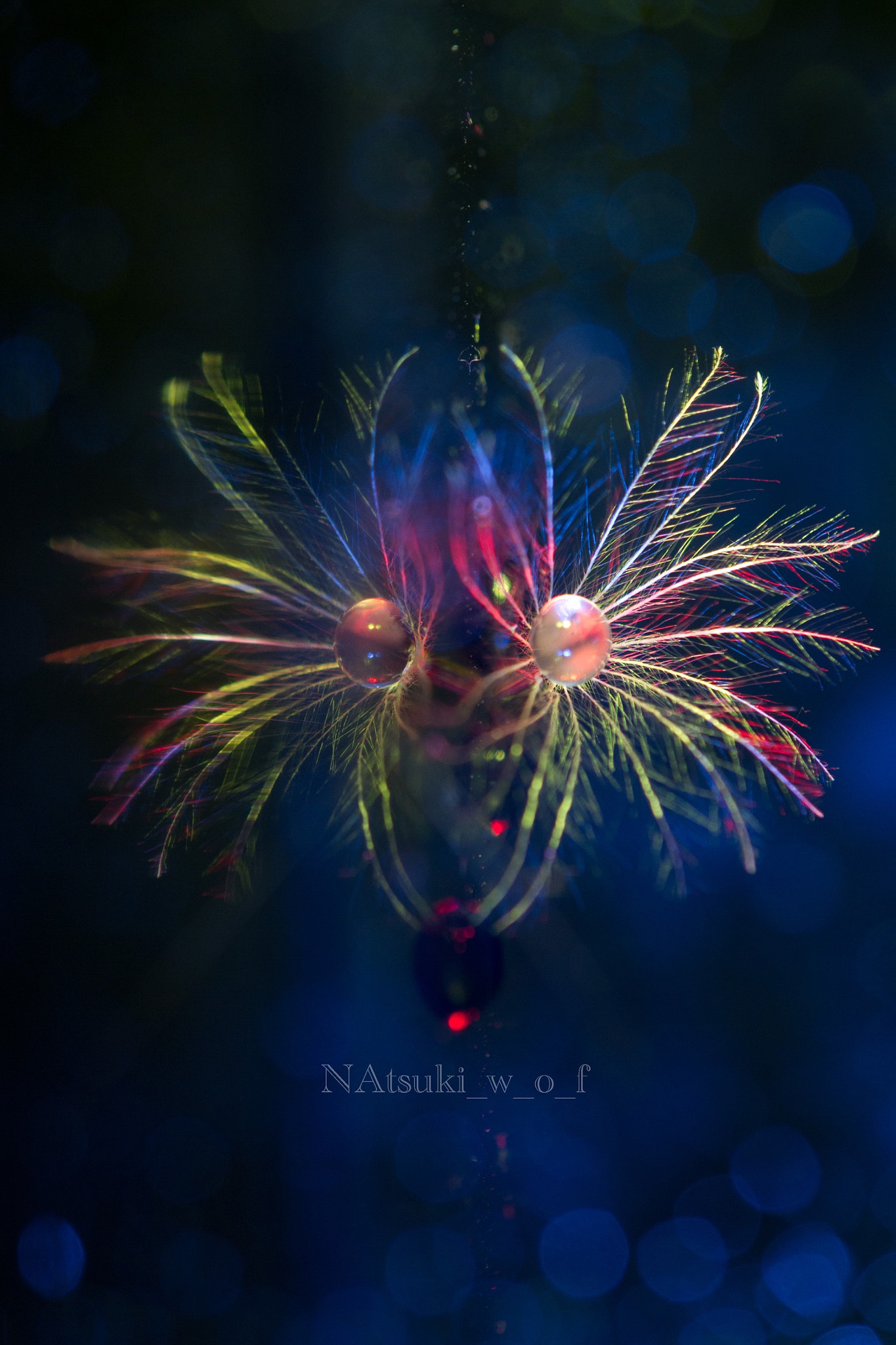Tamron SP AF 180mm F3.5 Di LD (IF) Macro sample photo. Fantasy photography