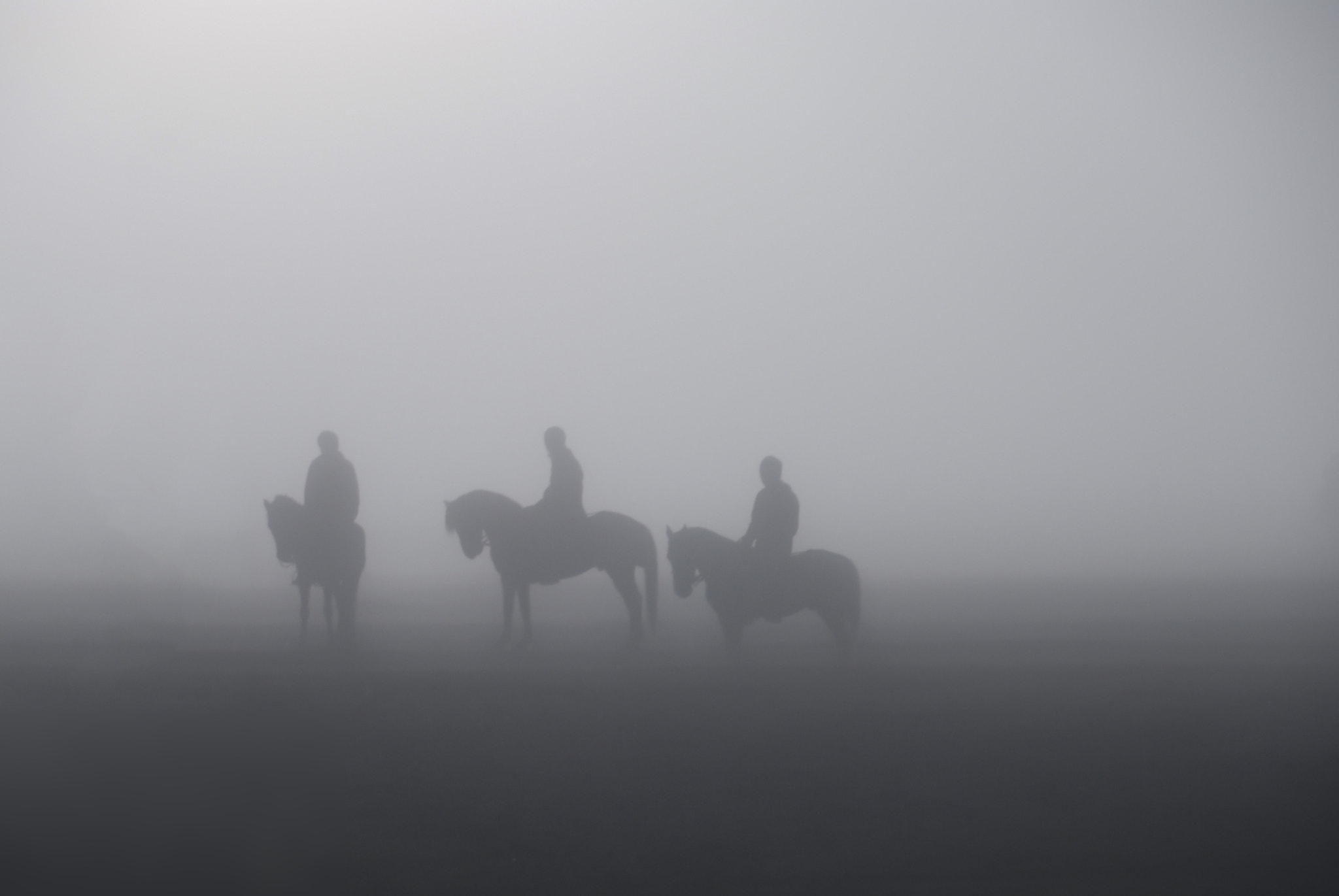 Nikon D60 sample photo. Foggy photography