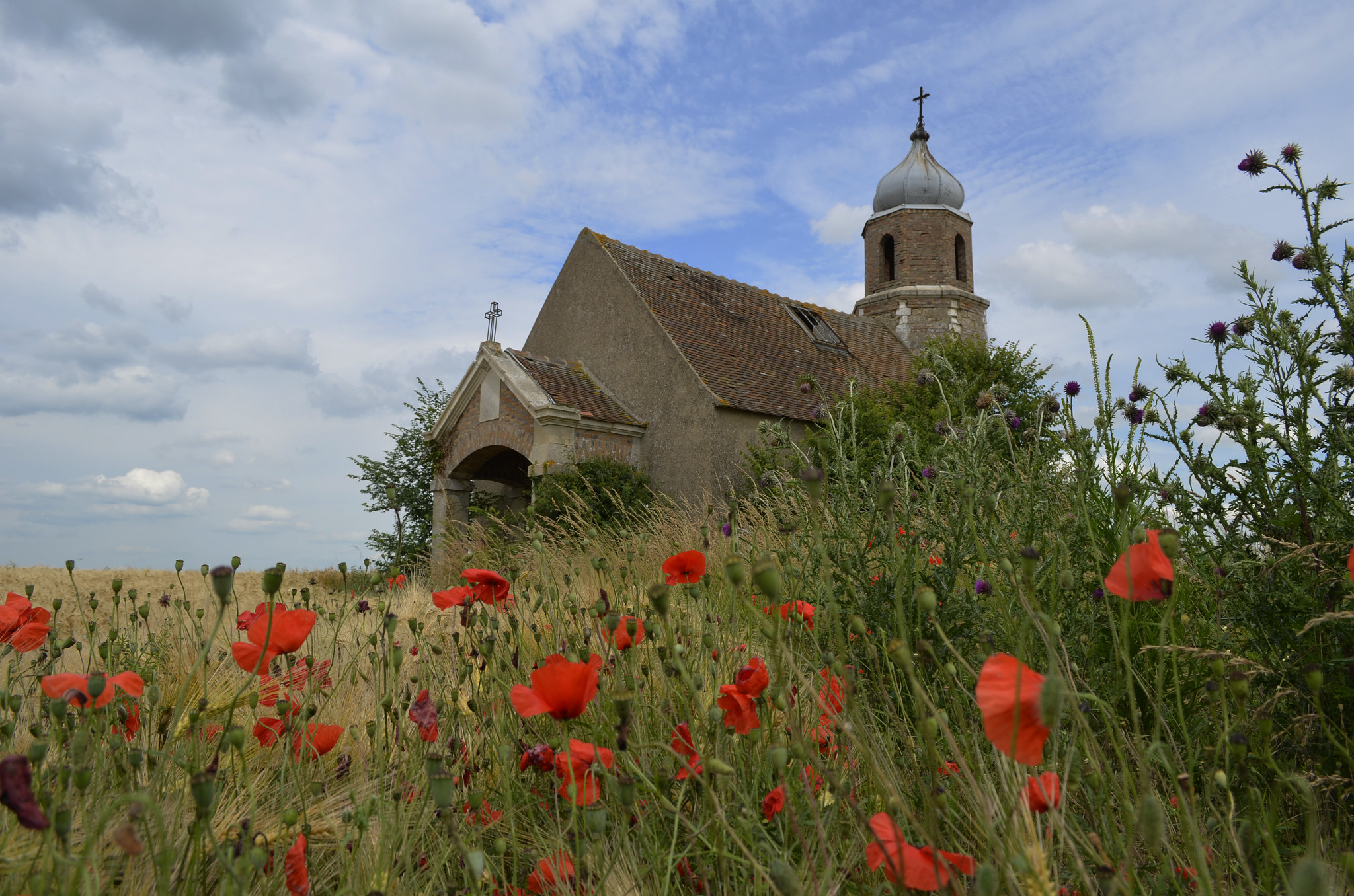 Sigma 18-200mm F3.5-6.3 DC OS HSM sample photo. Chapelle abandonnée photography