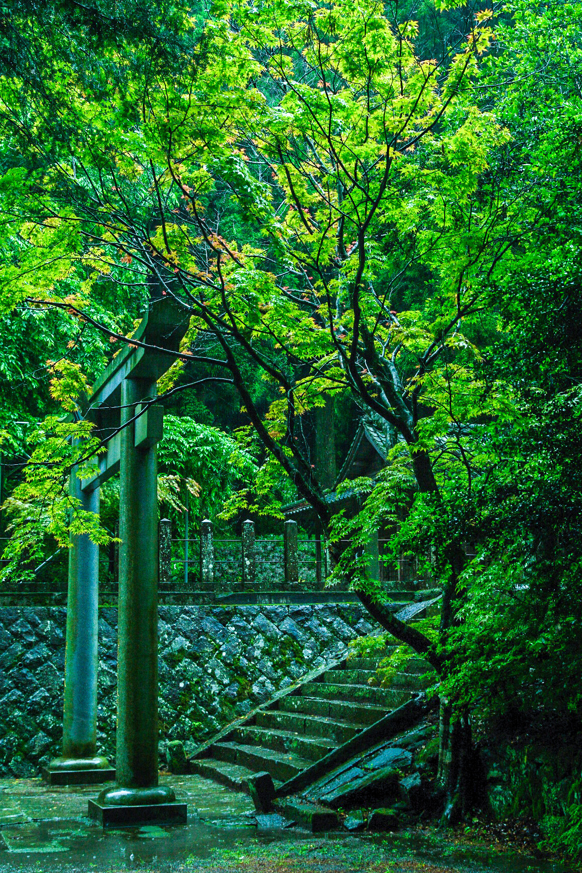 Sigma AF 10-20mm F4-5.6 EX DC sample photo. 国造神社　kokuzou shrine. photography