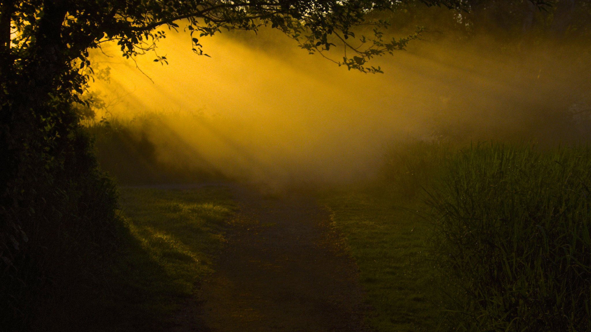 Pentax smc DA 50-200mm F4-5.6 ED WR sample photo. One of fog's many faces photography