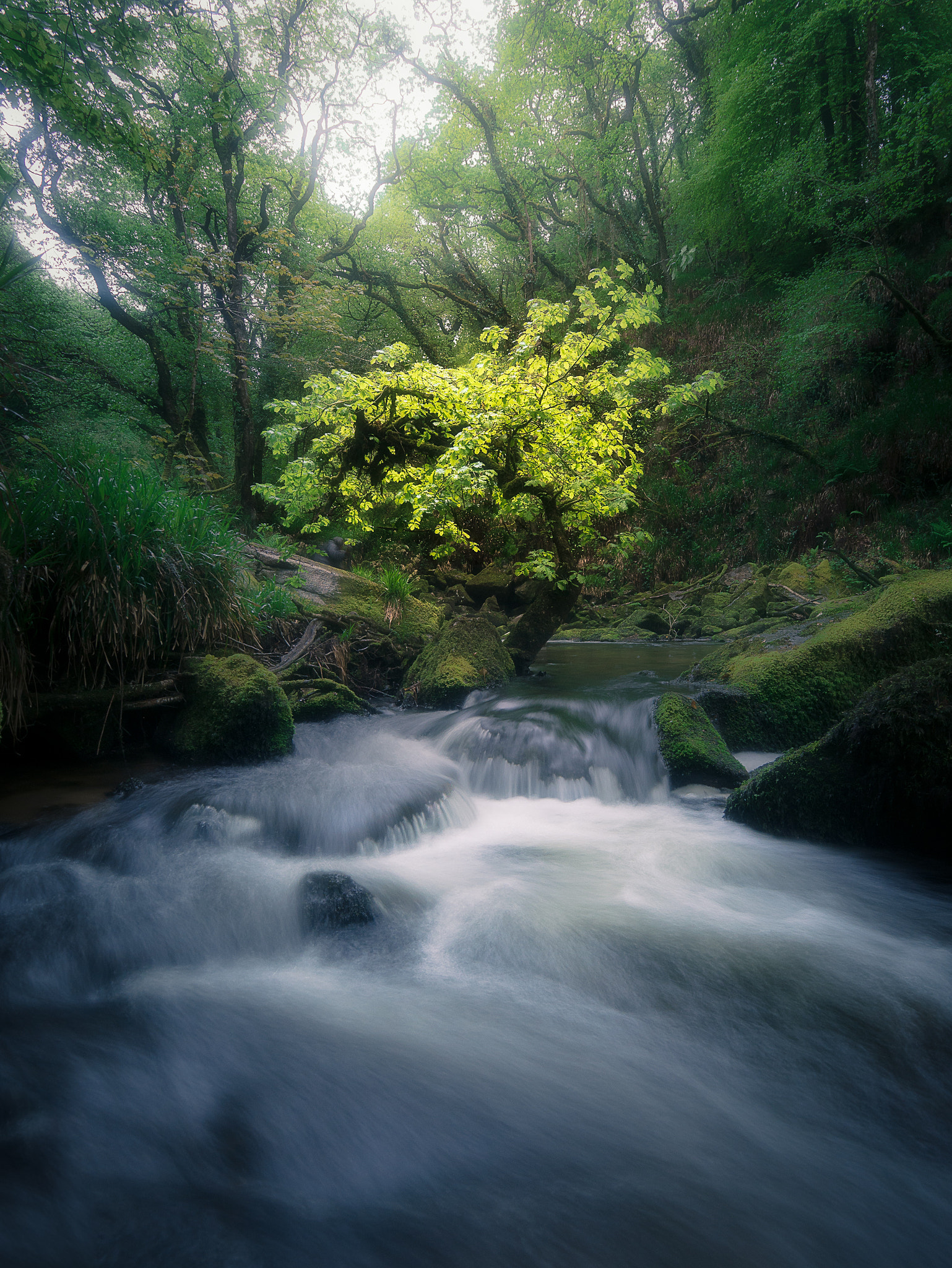 Panasonic Lumix DMC-GX7 + OLYMPUS M.9-18mm F4.0-5.6 sample photo. Who dares wins photography