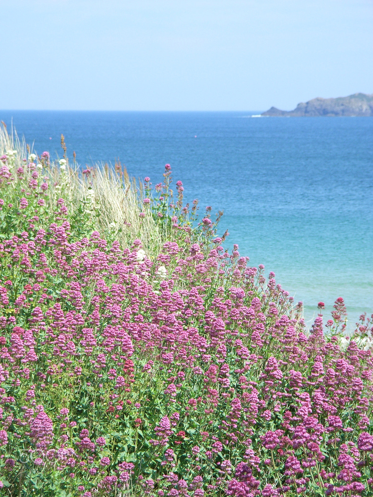 Ricoh Caplio R5 sample photo. Devon beach photography