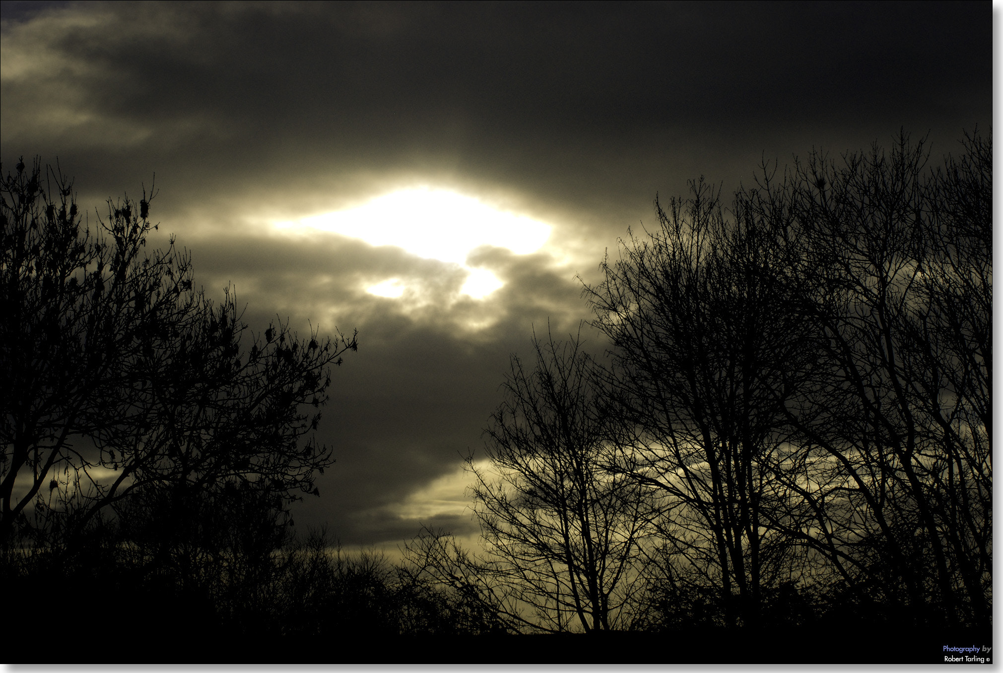 AF Zoom-Nikkor 35-135mm f/3.5-4.5 N sample photo. Black gold. photography